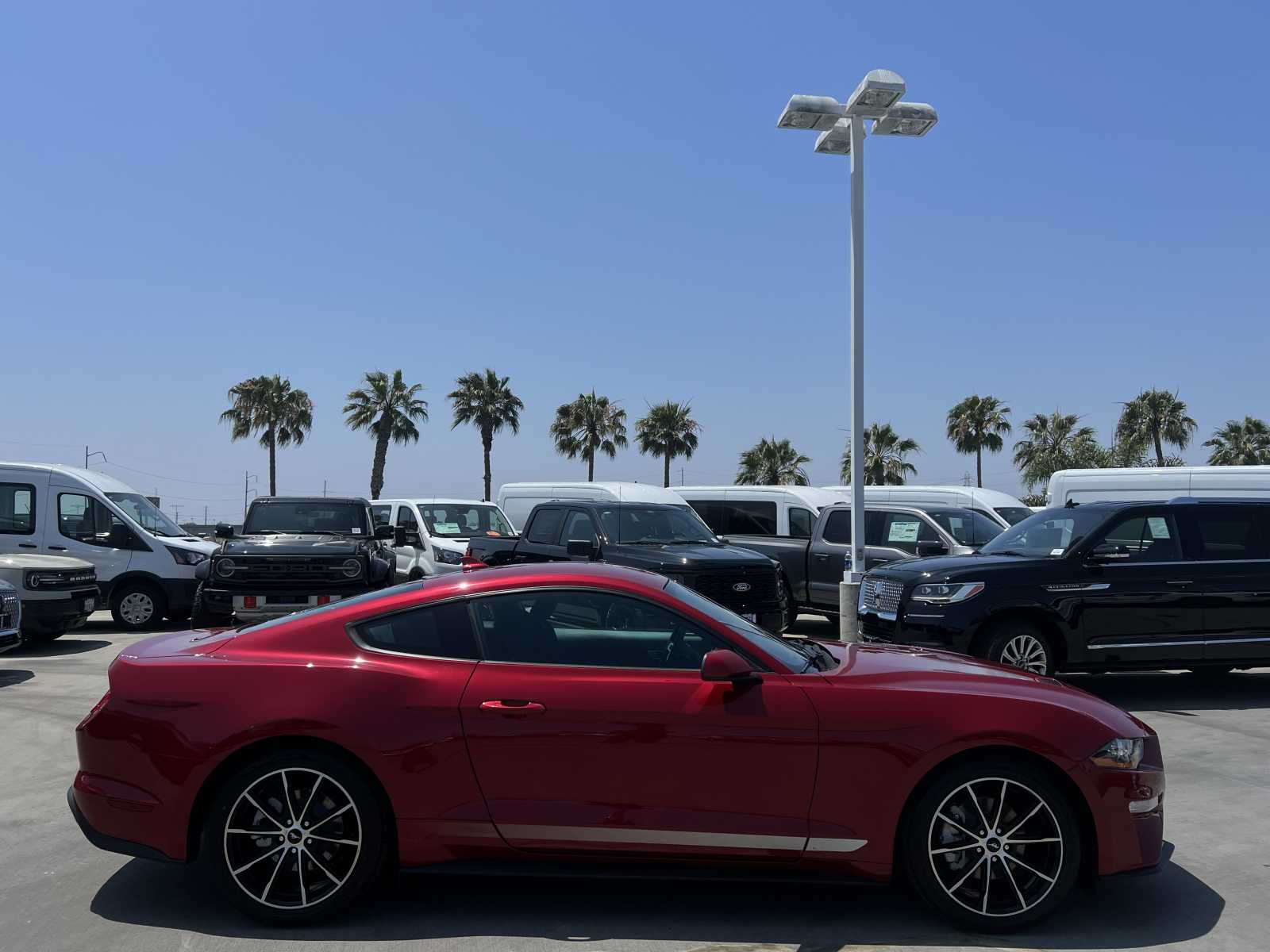 2021 Ford Mustang EcoBoost