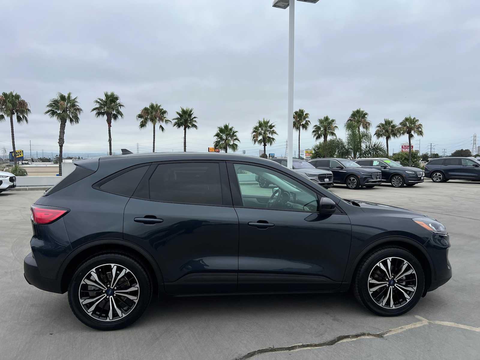 2022 Ford Escape SE Hybrid photo 6