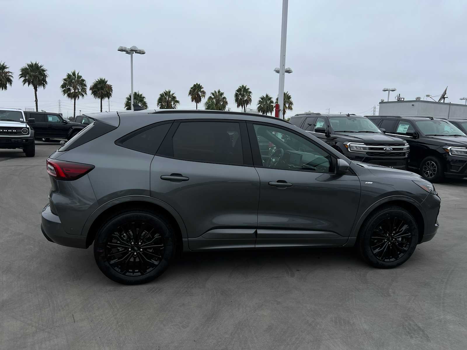 2024 Ford Escape ST-Line Elite