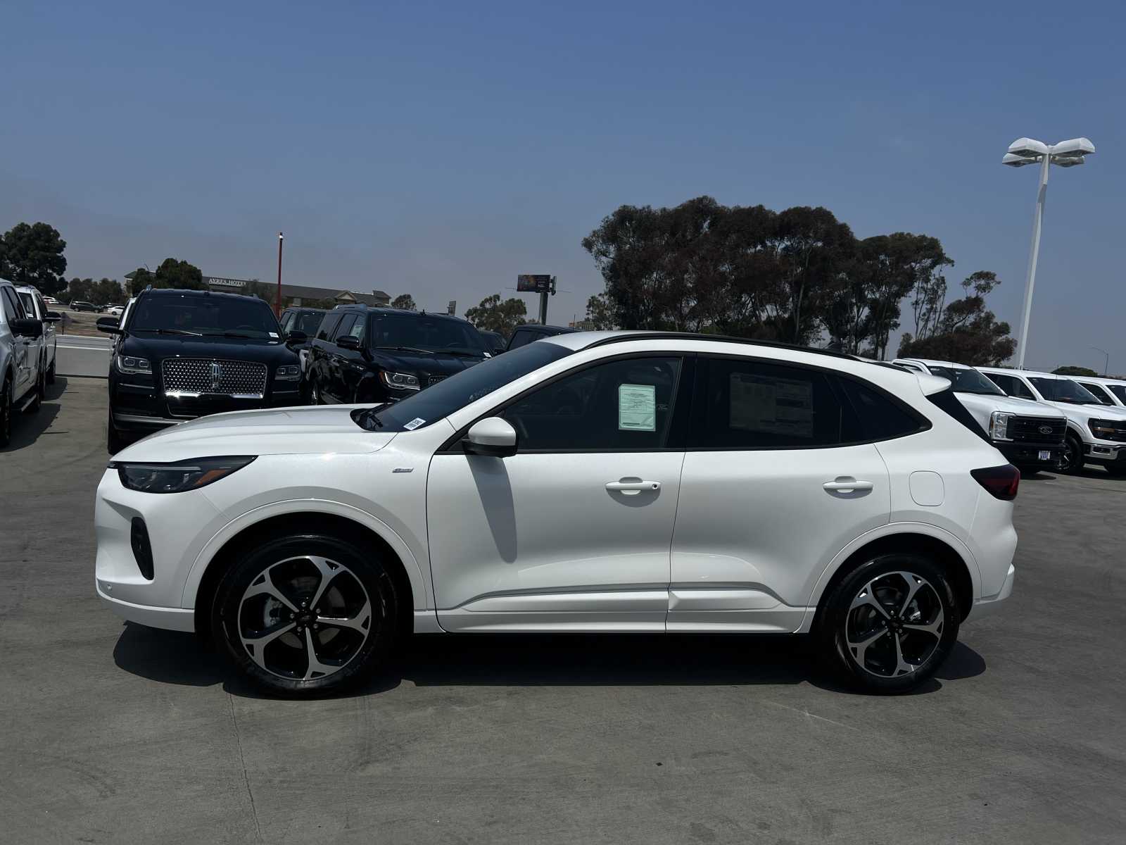 2024 Ford Escape ST-Line Elite