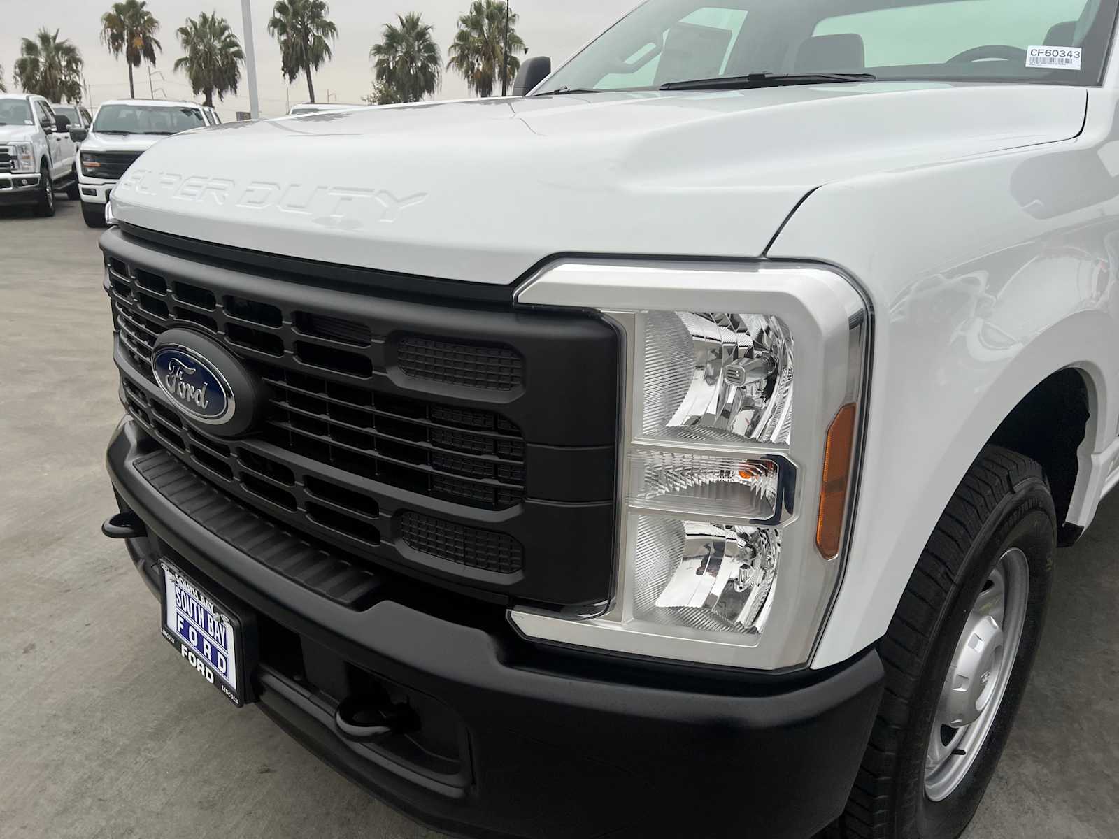 2024 Ford Super Duty F-250 SRW XL 2WD Reg Cab 8 Box