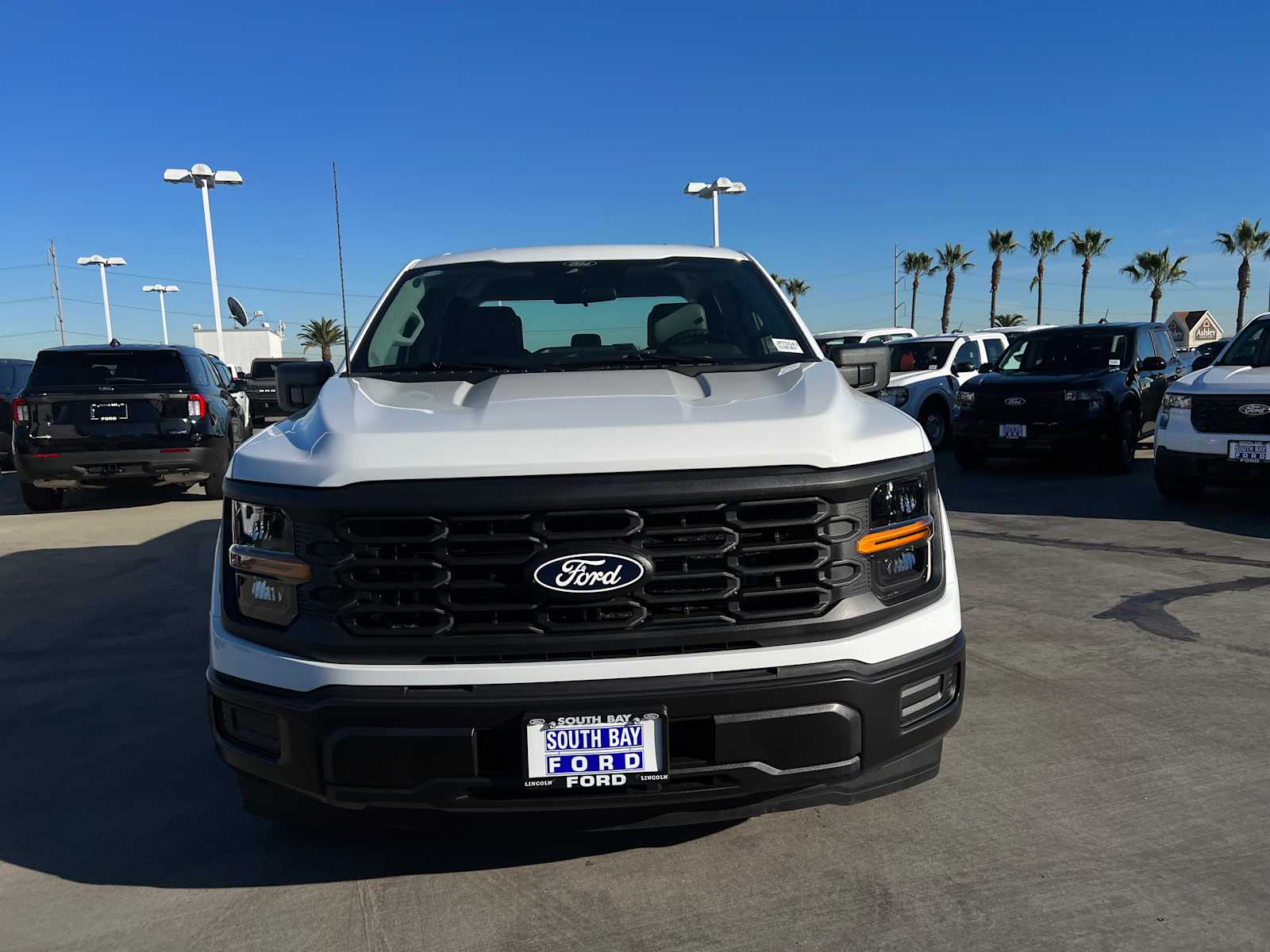 2025 Ford F-150 XL 2025 Ford F-150 XL