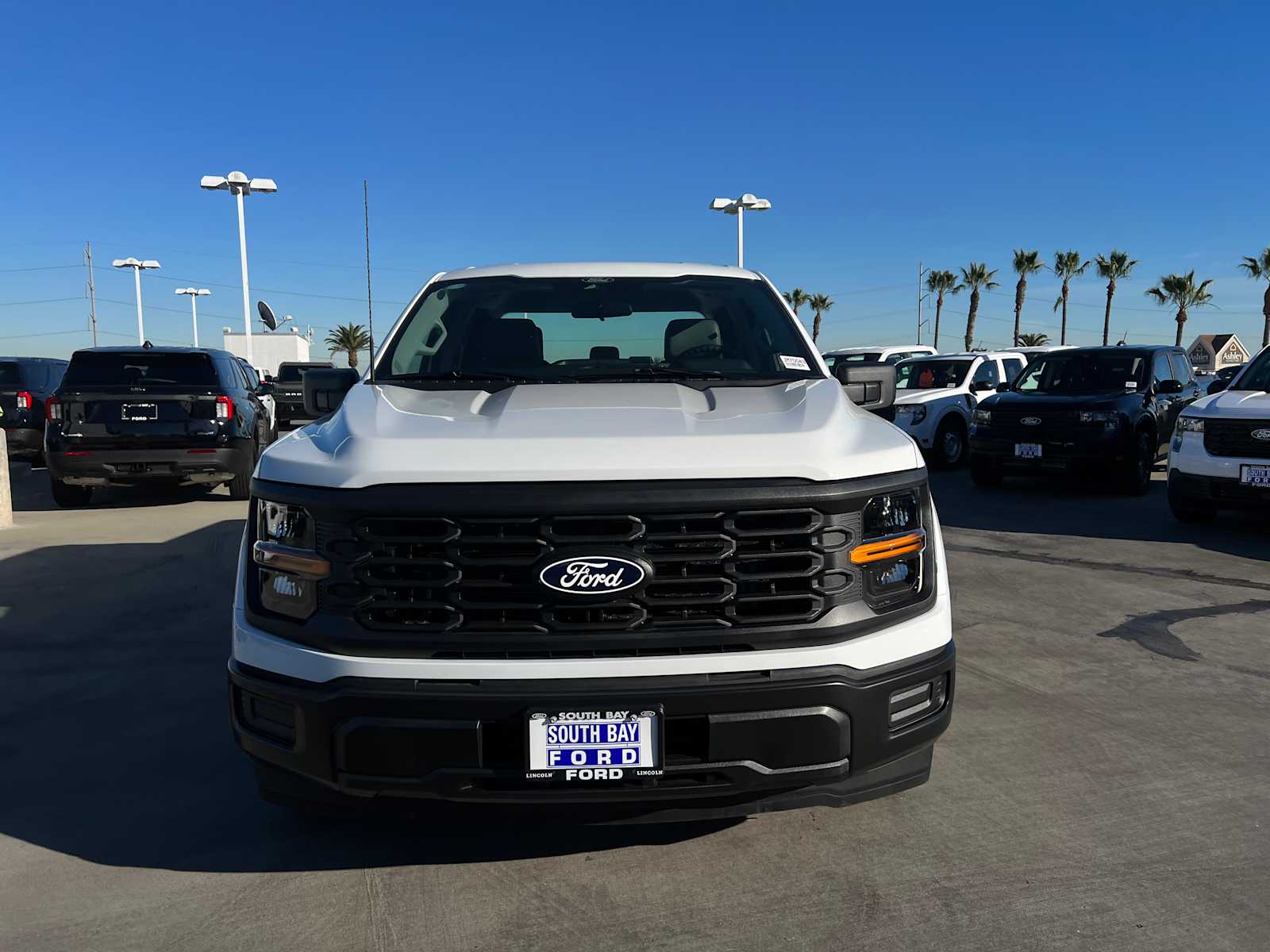 2025 Ford F-150 XL 2025 Ford F-150 XL