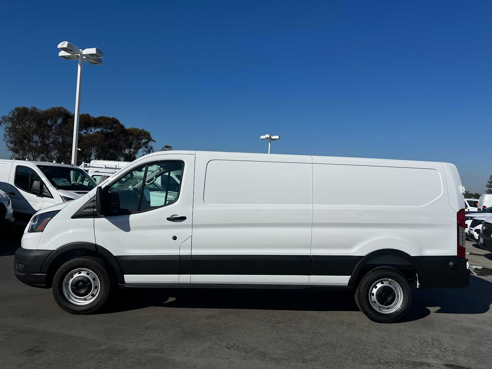 2026 Ford Transit 