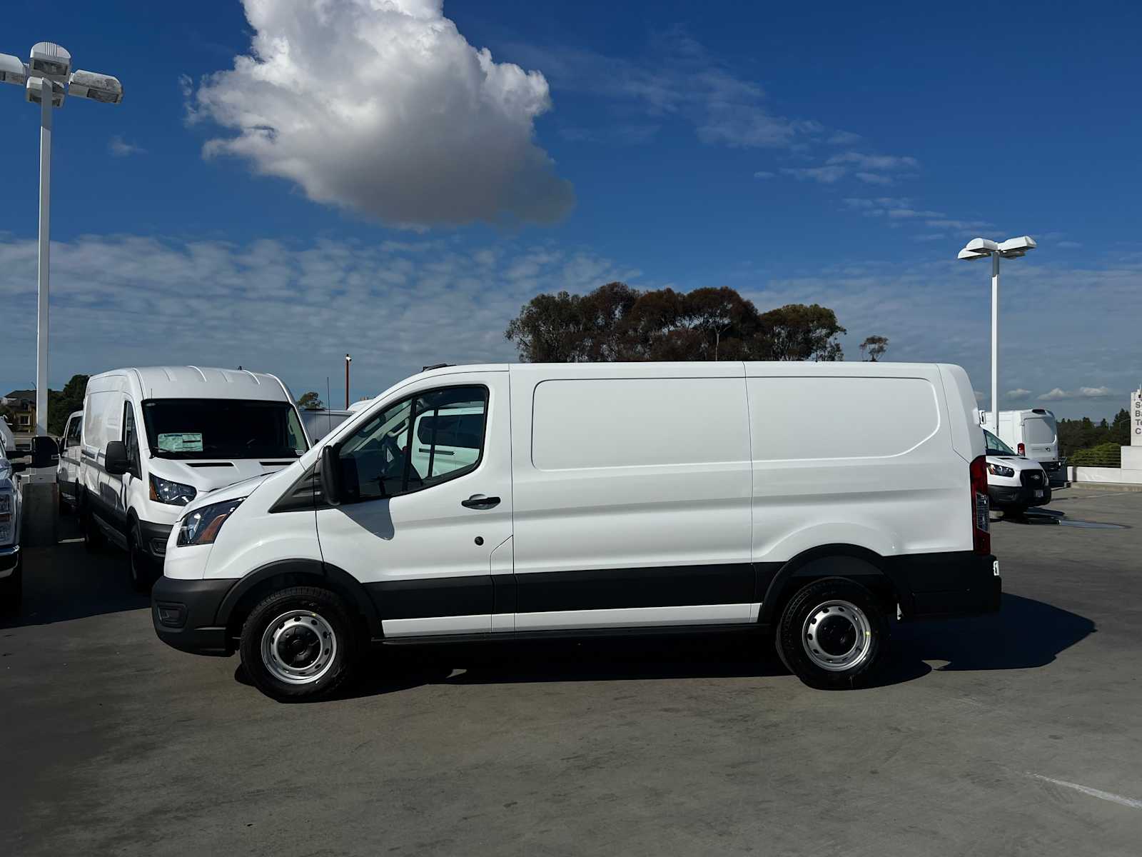 2026 Ford Transit 