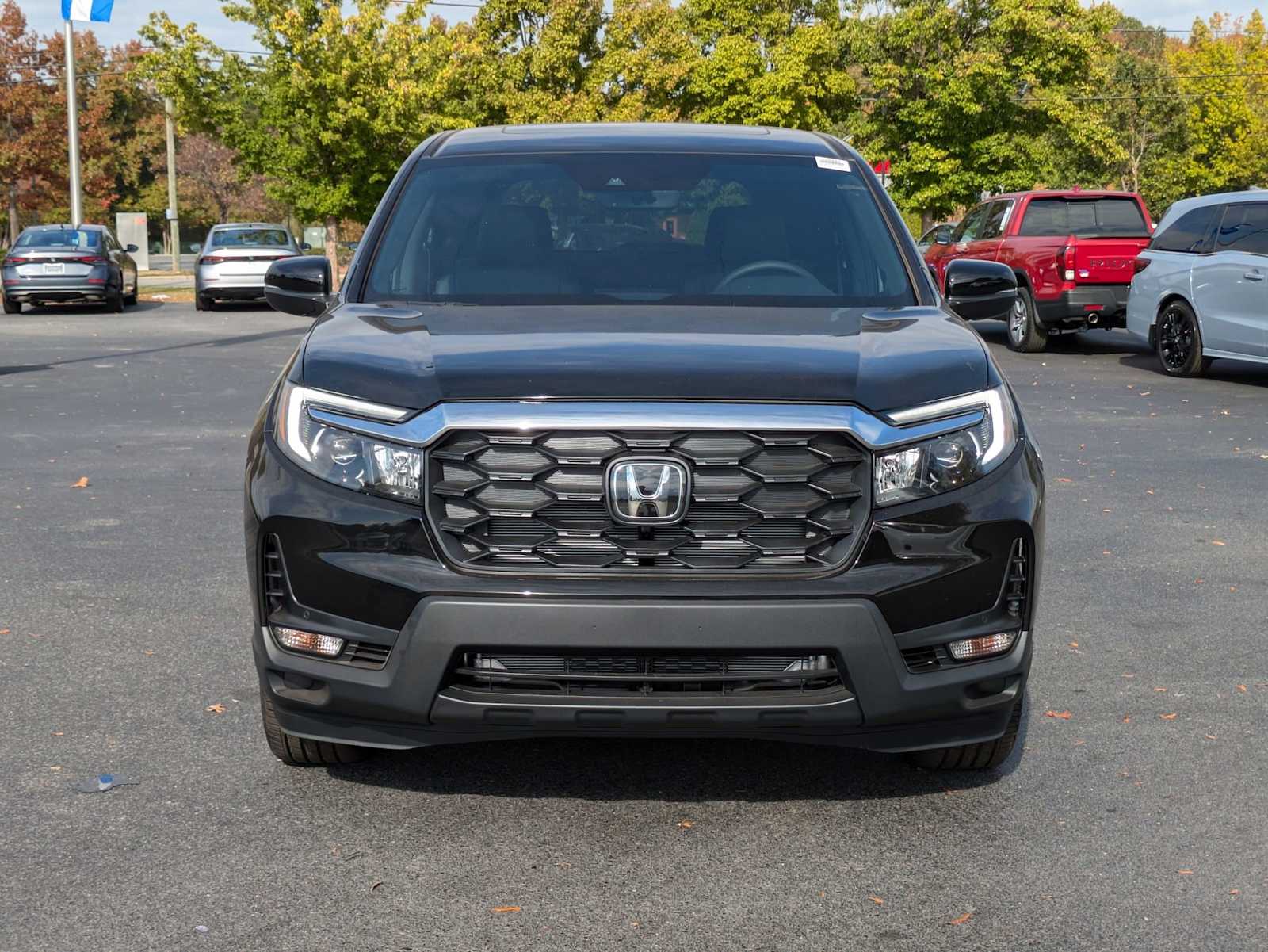 2025 Honda Passport EX-L 3