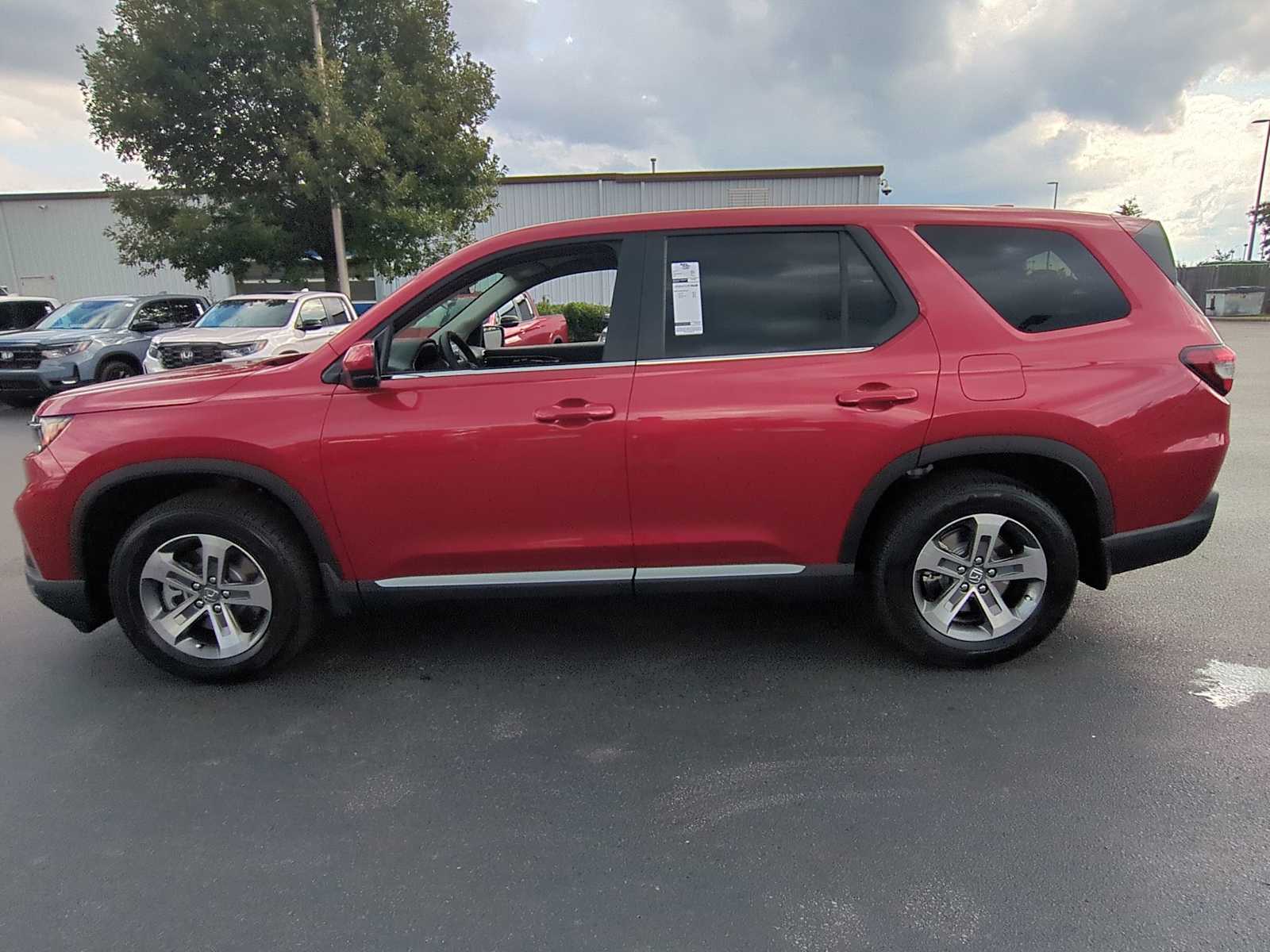 2025 Honda Pilot EX-L 6