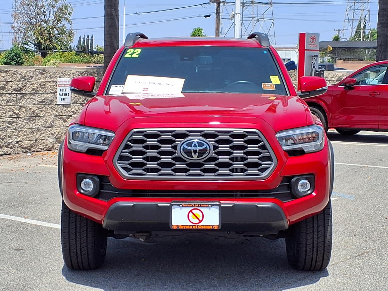 ウェア TRD Racing Grove Redcolor TRD_Motorsport_Racing_Themed_Z