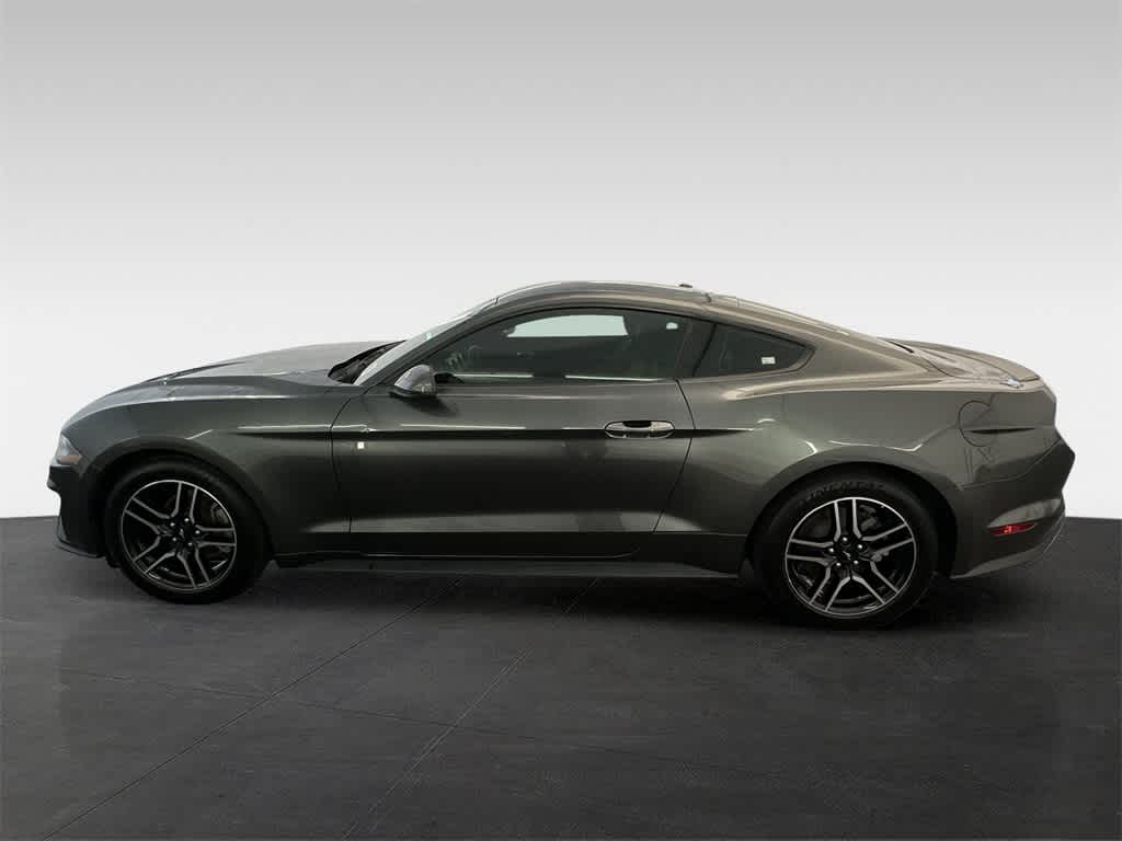 2019 Ford Mustang EcoBoost Premium 3