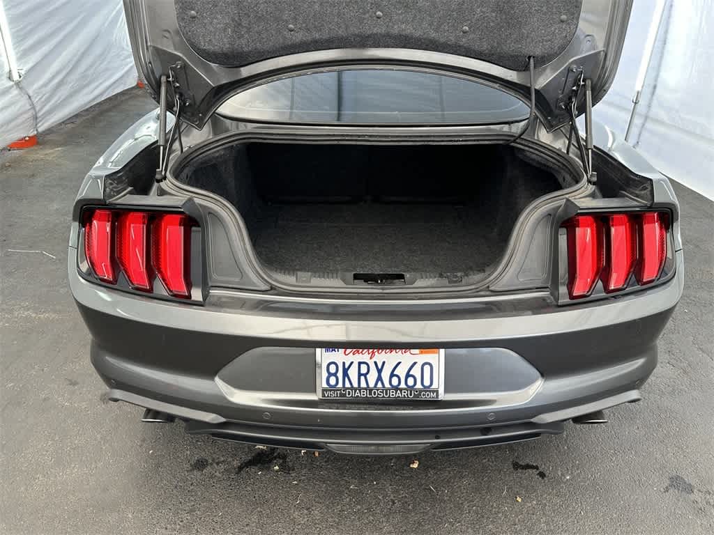 2019 Ford Mustang EcoBoost Premium 19