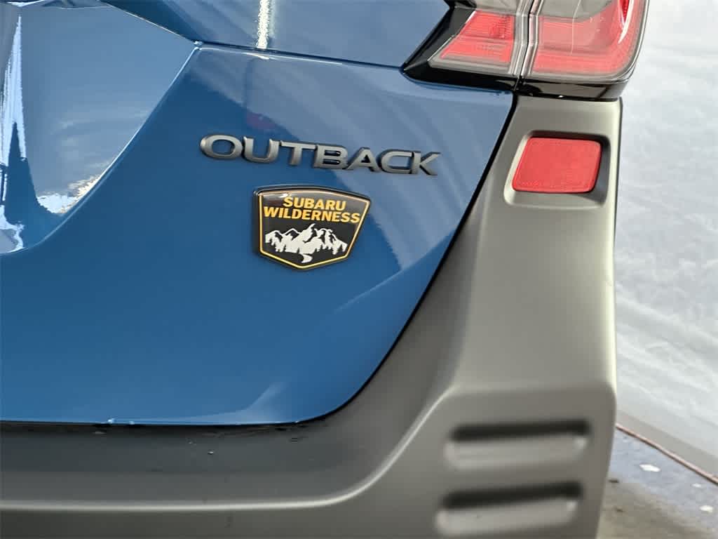 2025 Subaru Outback Wilderness 6