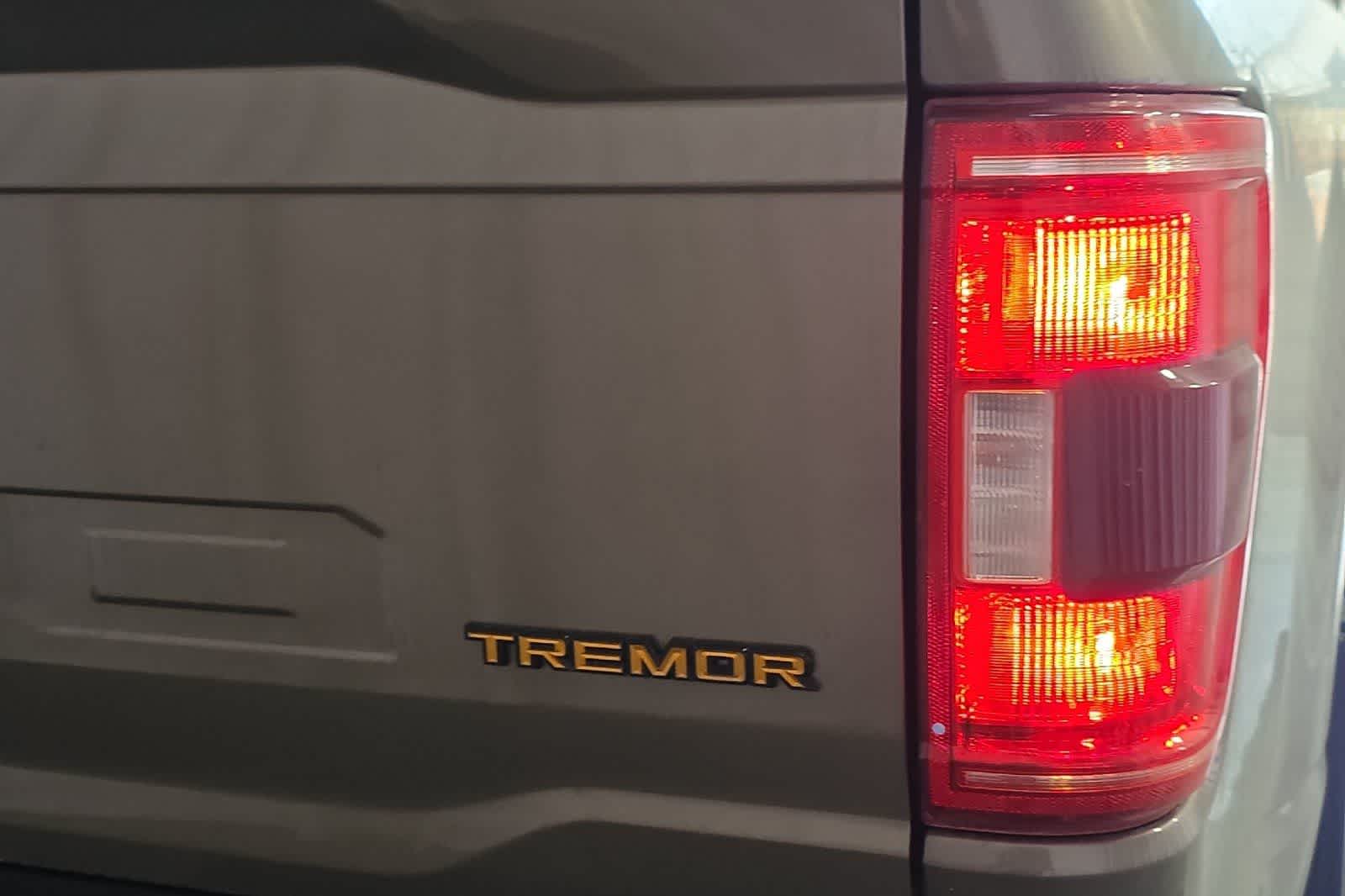 2021 Ford F-150 Tremor - Photo 13