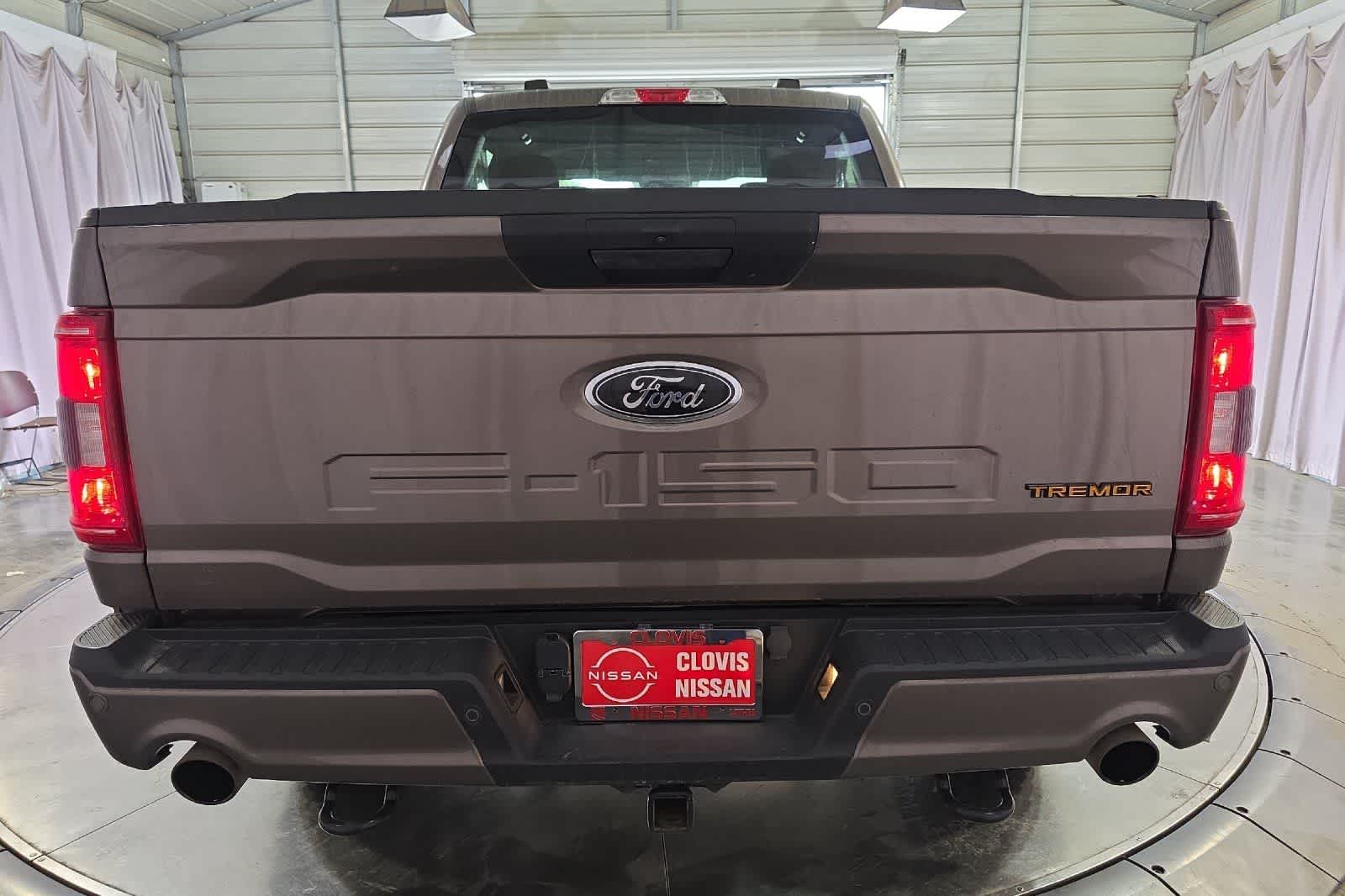 2021 Ford F-150 Tremor - Photo 8