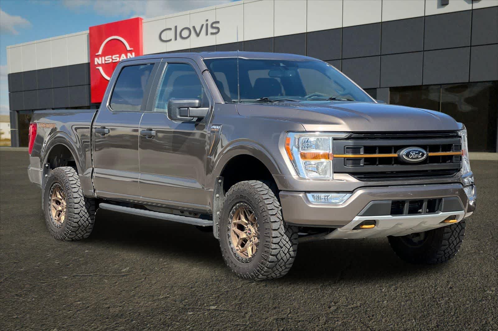 2021 Ford F-150 Tremor - Photo 10