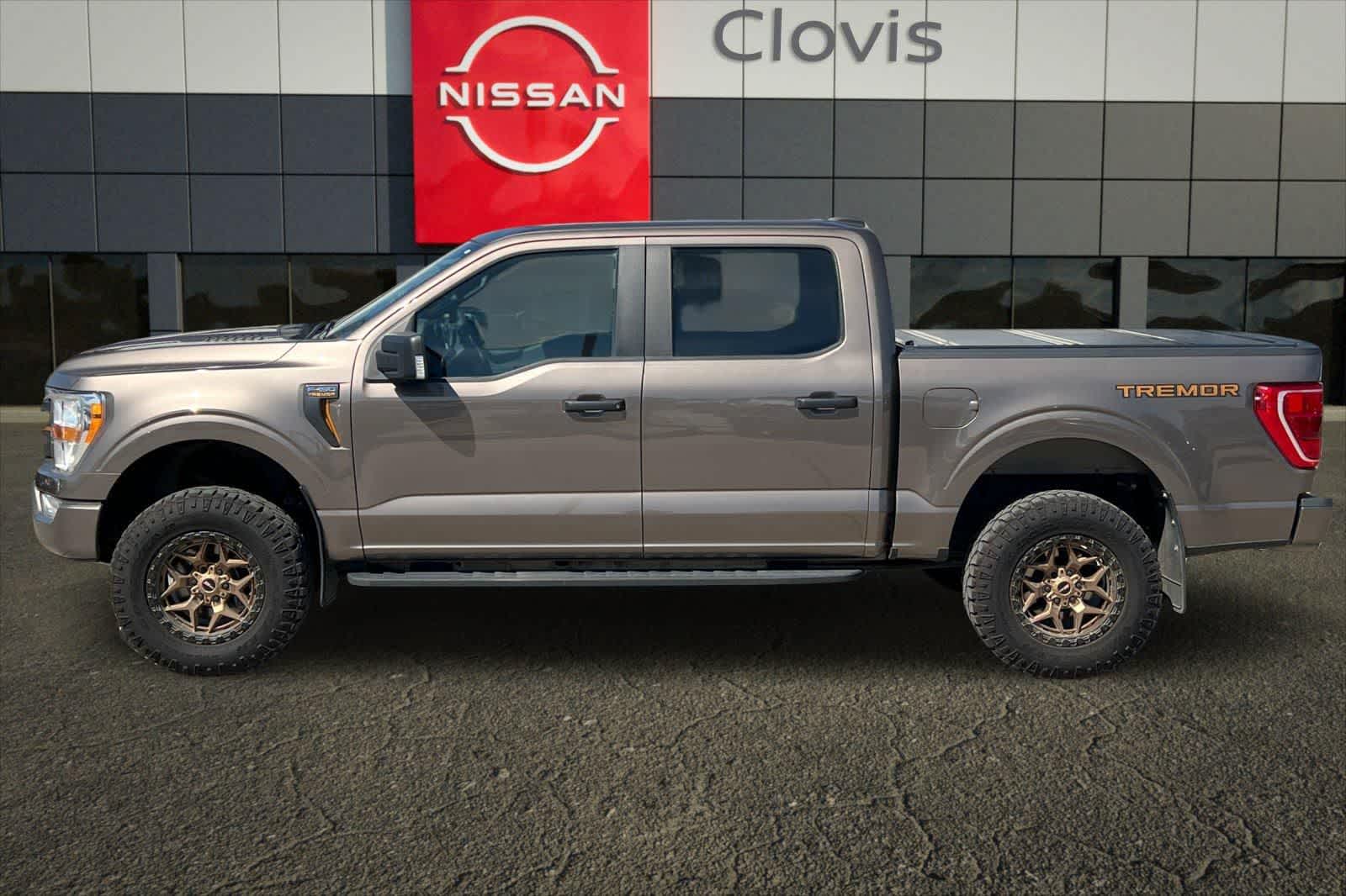 2021 Ford F-150 Tremor - Photo 6