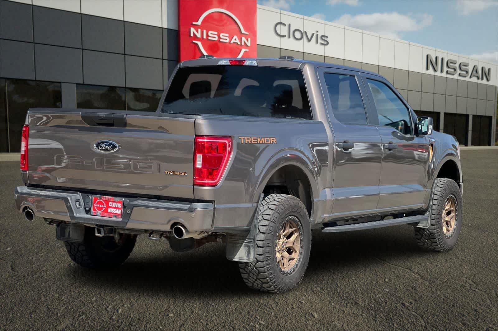 2021 Ford F-150 Tremor - Photo 3