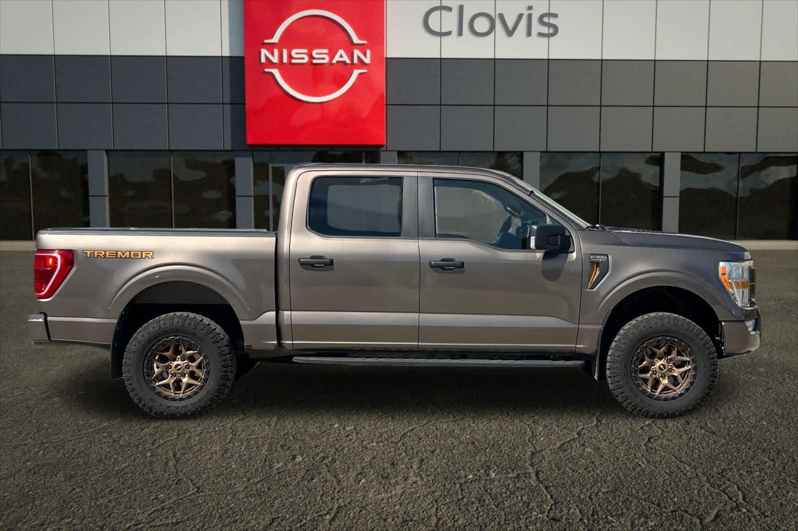 2021 Ford F-150 Tremor - Photo 9