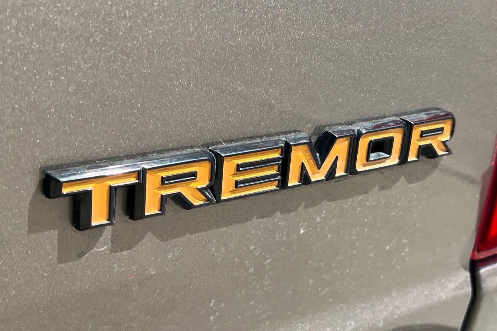 2021 Ford F-150 Tremor - Photo 17