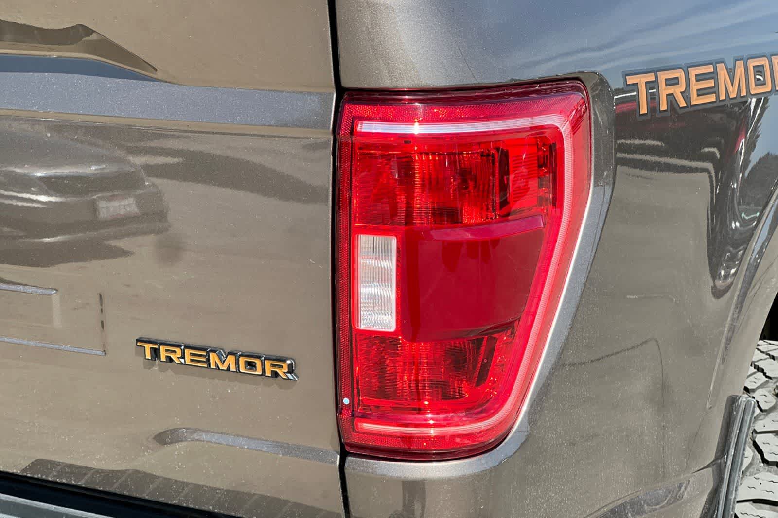 2021 Ford F-150 Tremor - Photo 34