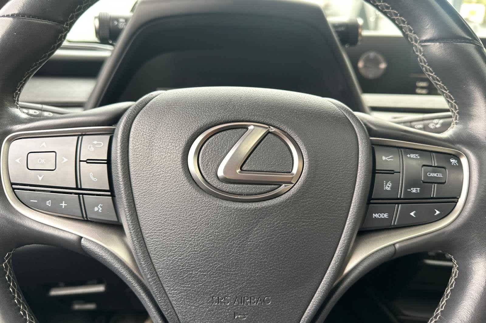 2019 Lexus UX UX 250h 25