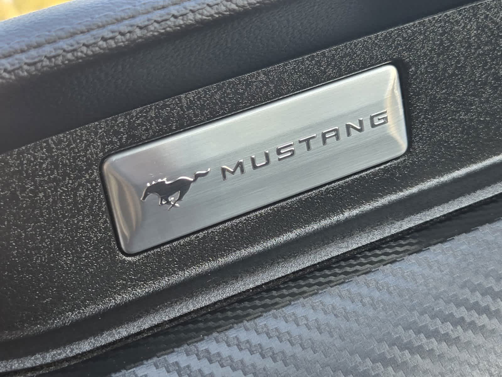 2021 Ford Mustang EcoBoost 22