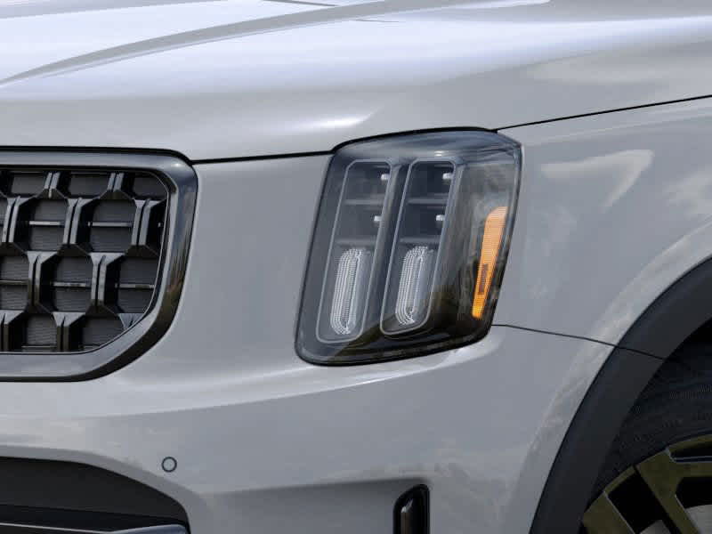 2025 Kia Telluride  10