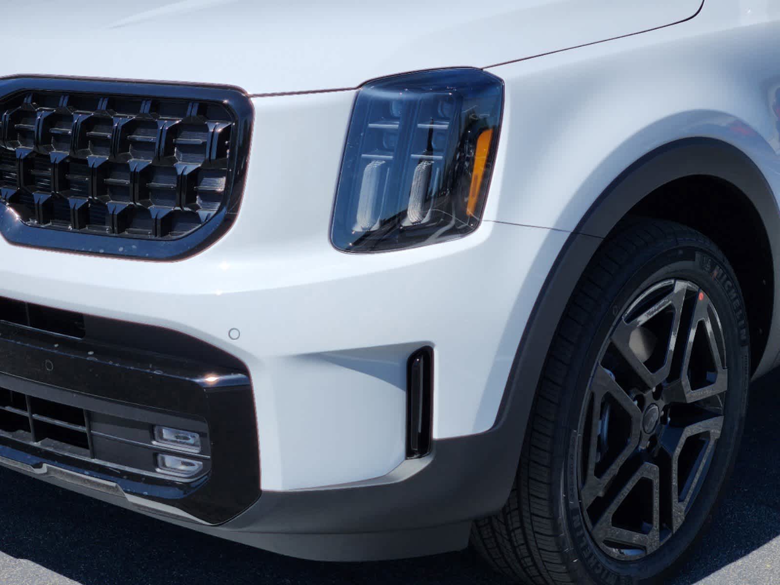 2025 Kia Telluride  6