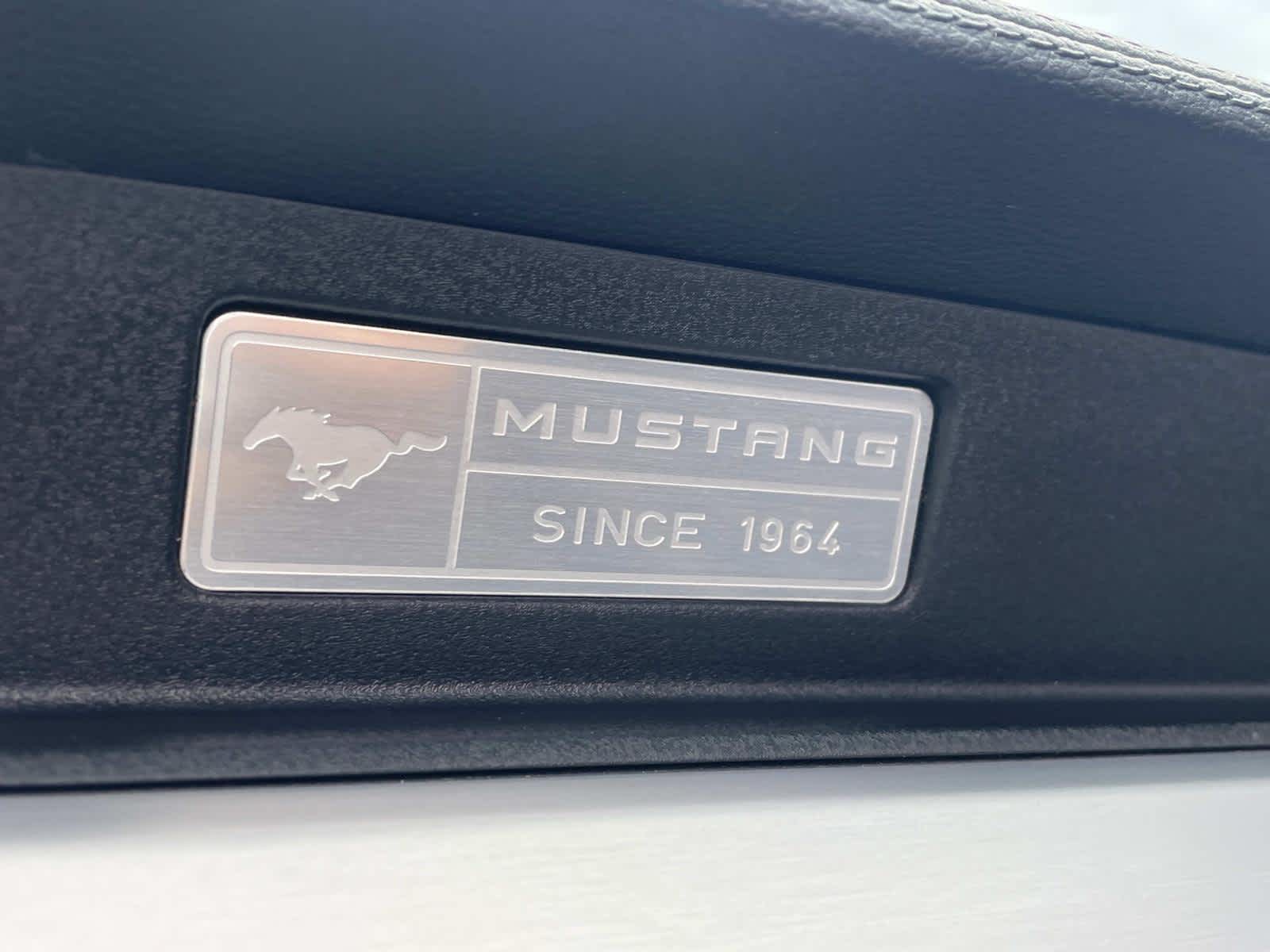 2017 Ford Mustang GT Premium 23