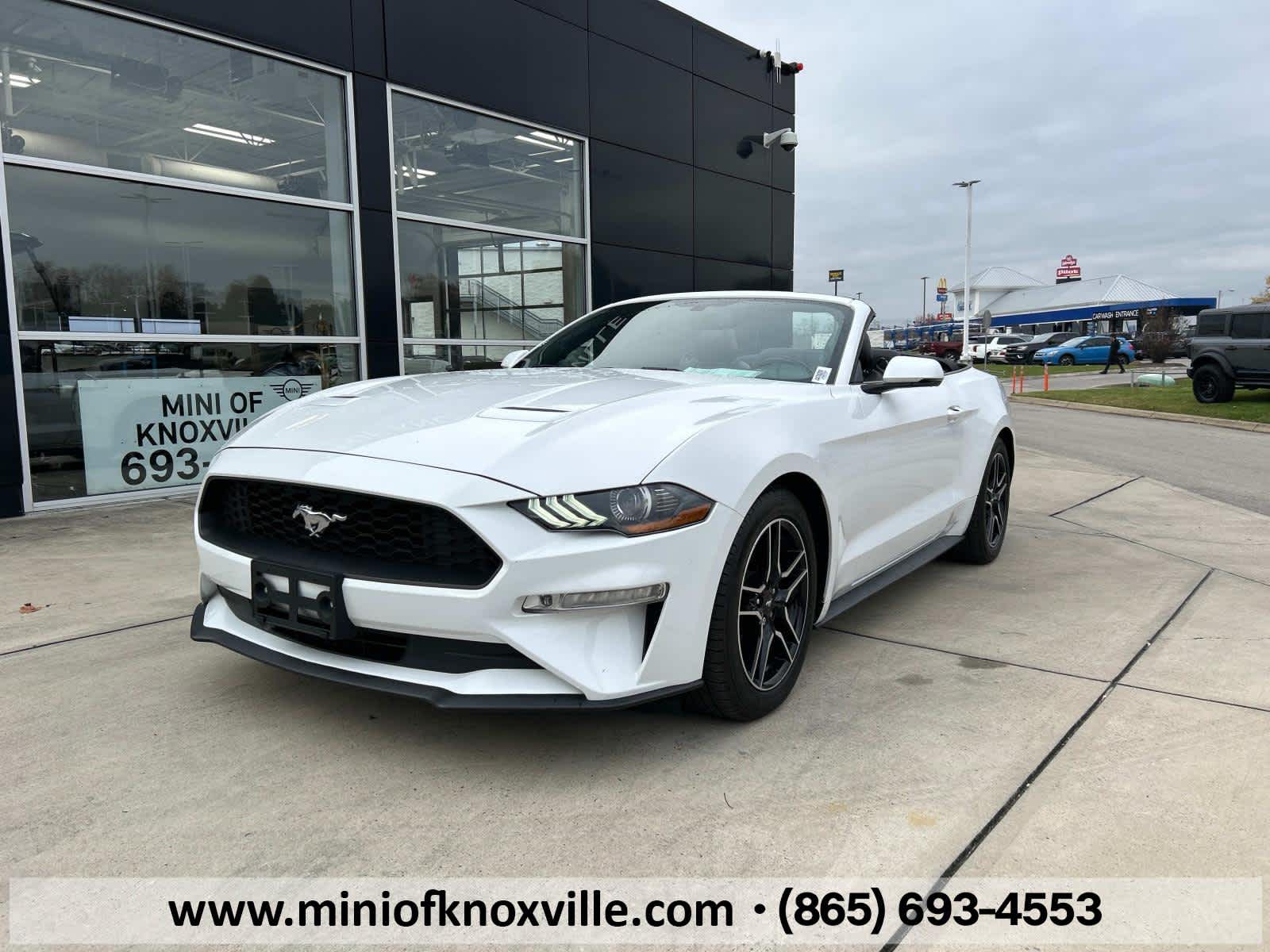 2019 Ford Mustang EcoBoost Premium 2