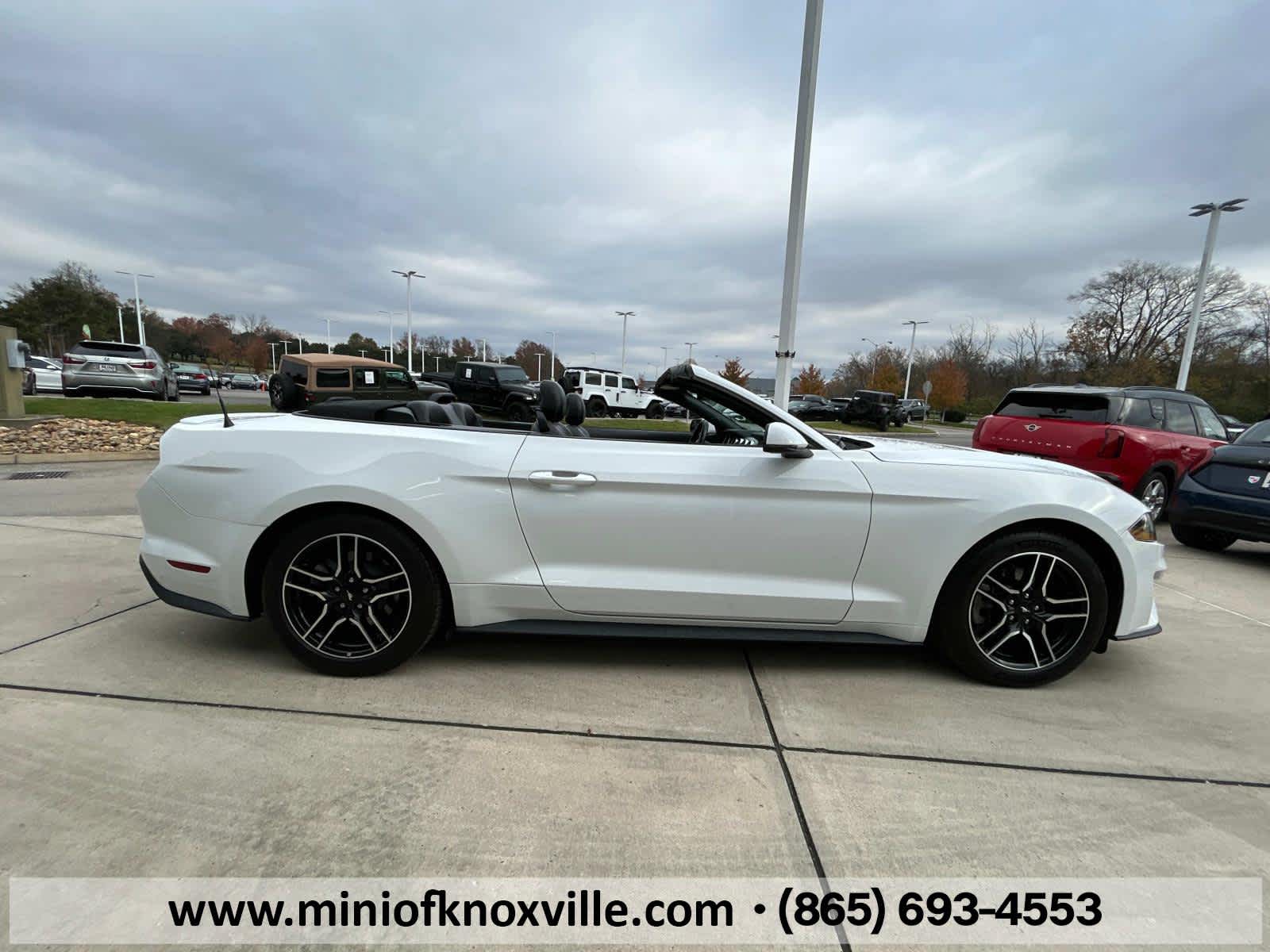 2019 Ford Mustang EcoBoost Premium 5