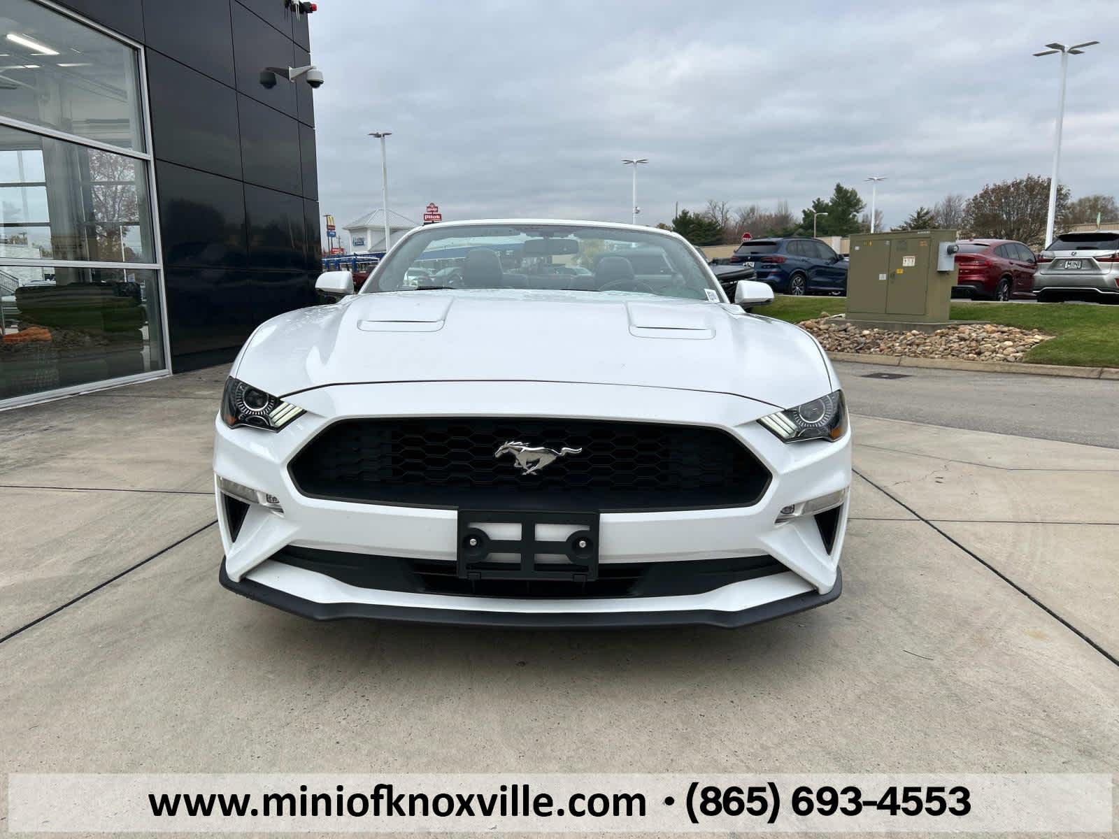 2019 Ford Mustang EcoBoost Premium 3