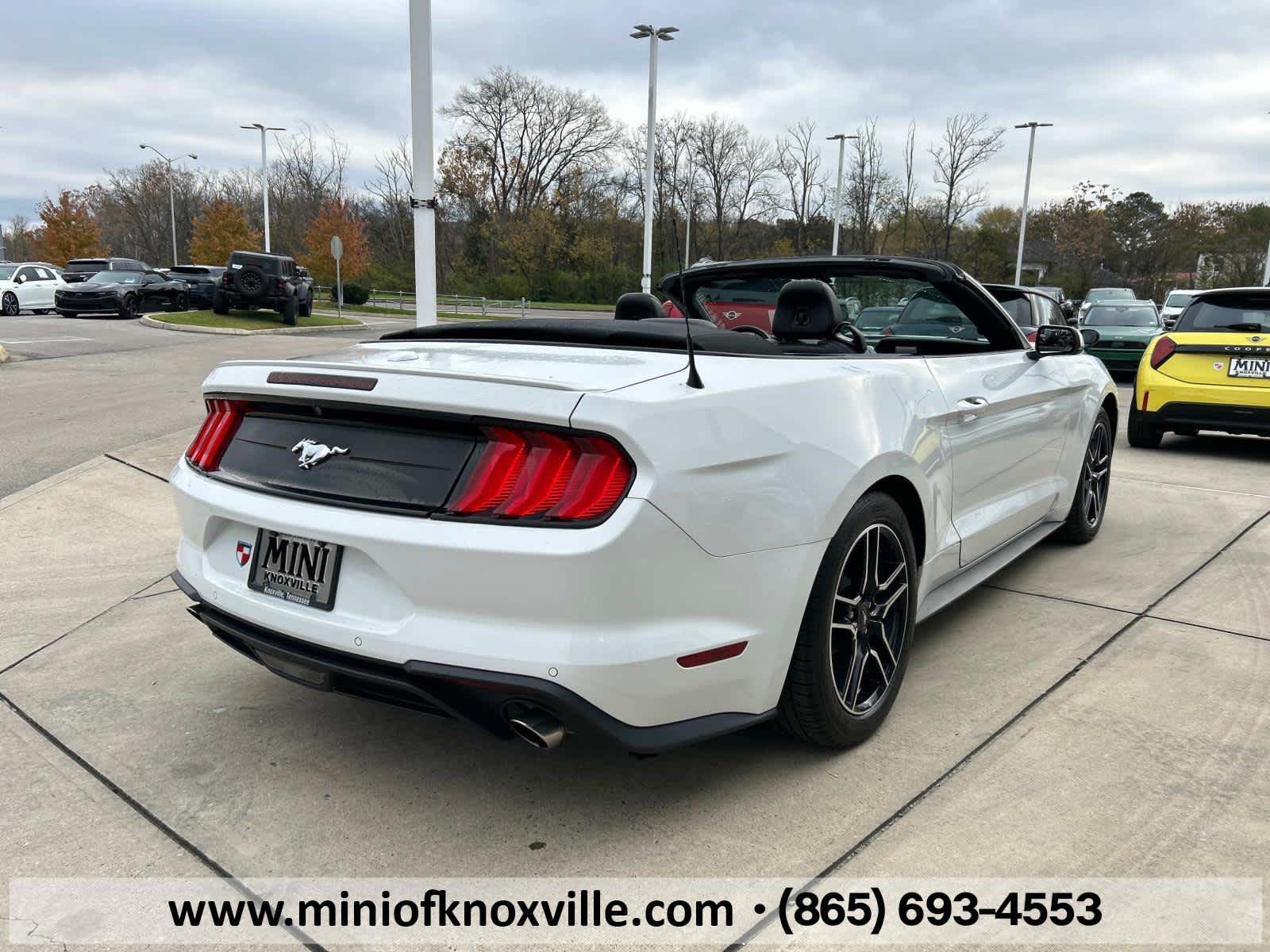 2019 Ford Mustang EcoBoost Premium 6