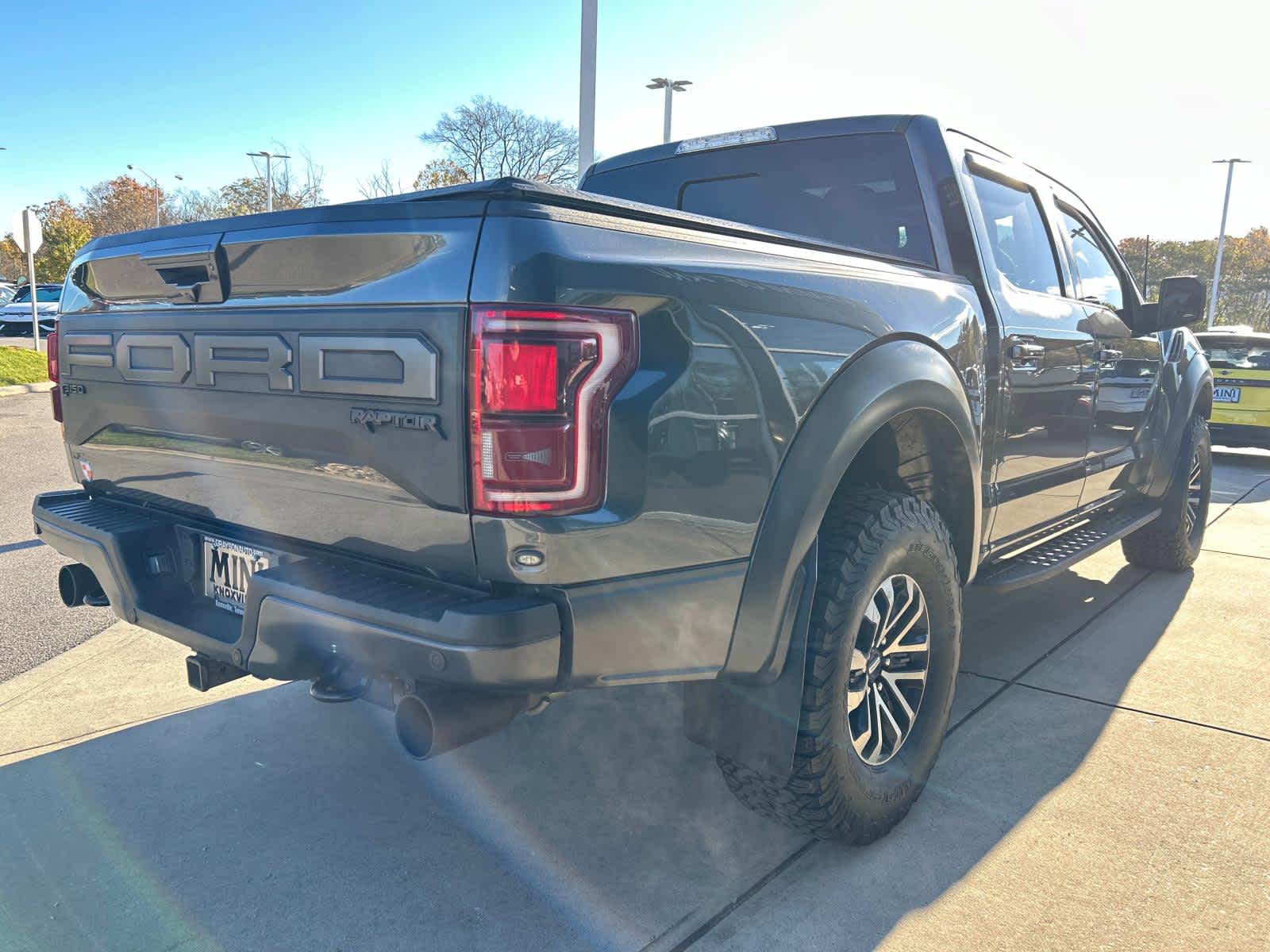 2019 Ford F-150 Raptor 4WD SuperCrew 5.5 Box 6