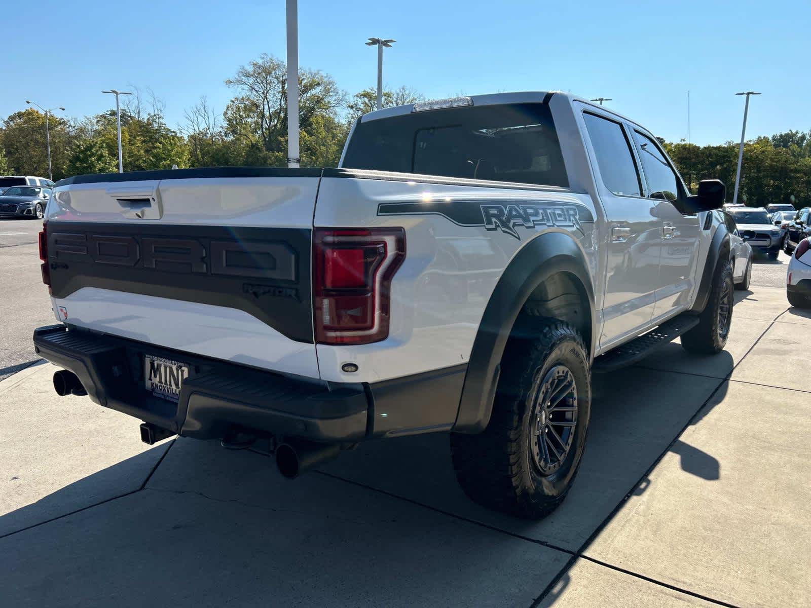 2019 Ford F-150 Raptor 4WD SuperCrew 5.5 Box 6