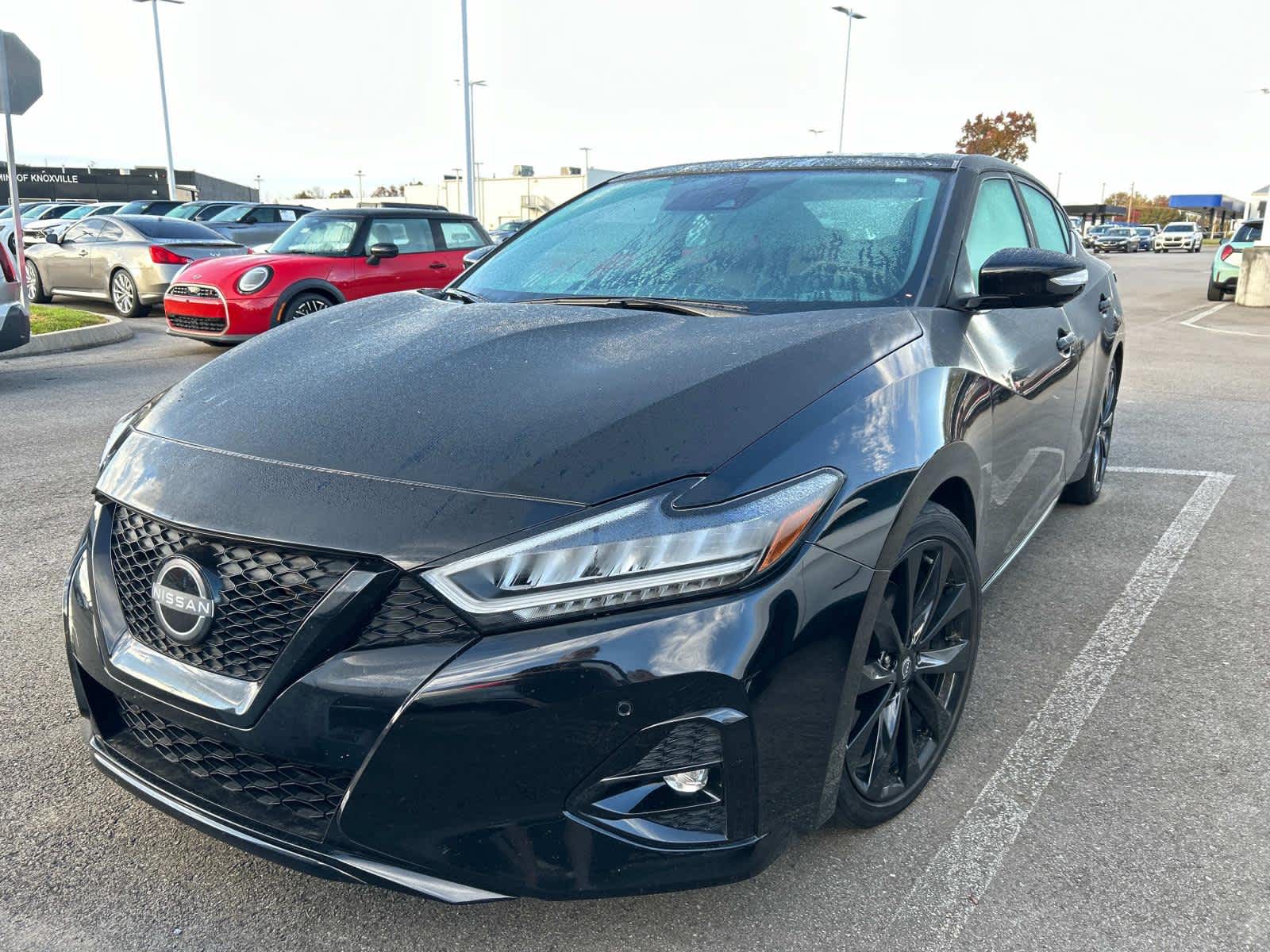 2023 Nissan Maxima SR 2