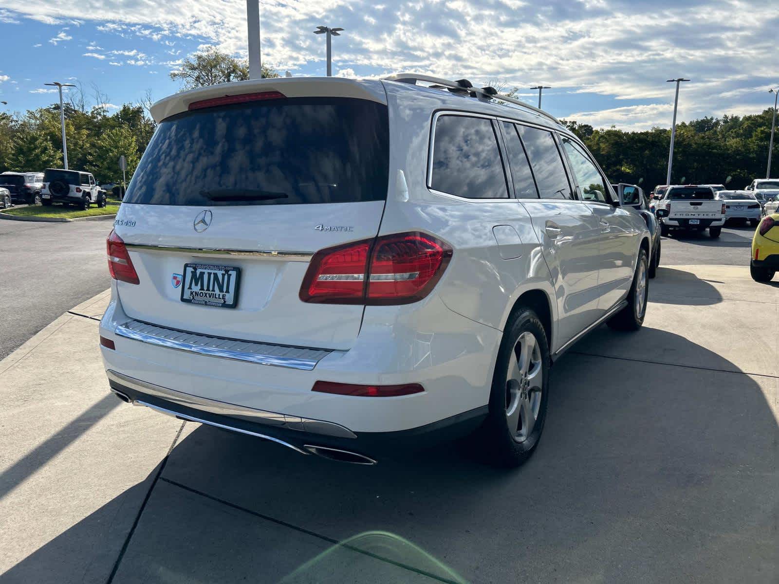 2019 Mercedes-Benz GLS GLS 450 6