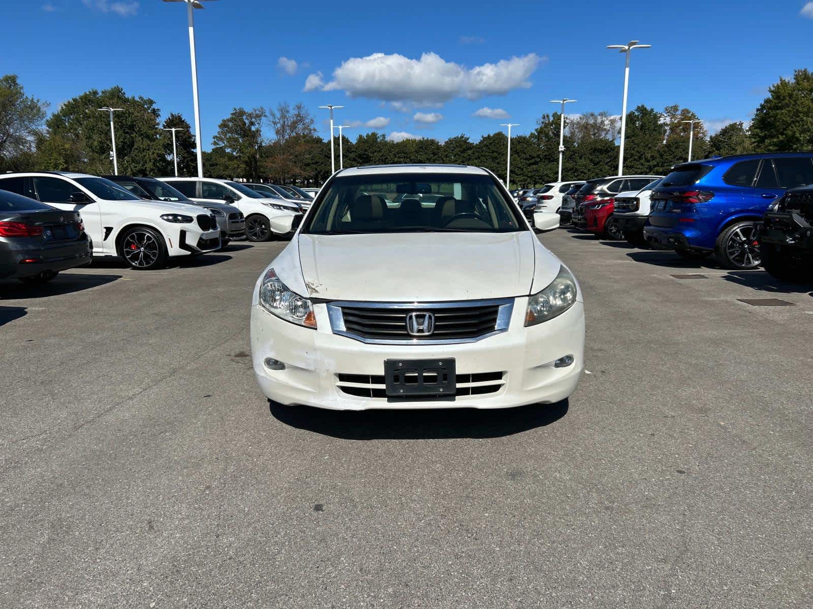 2010 Honda Accord EX-L 8