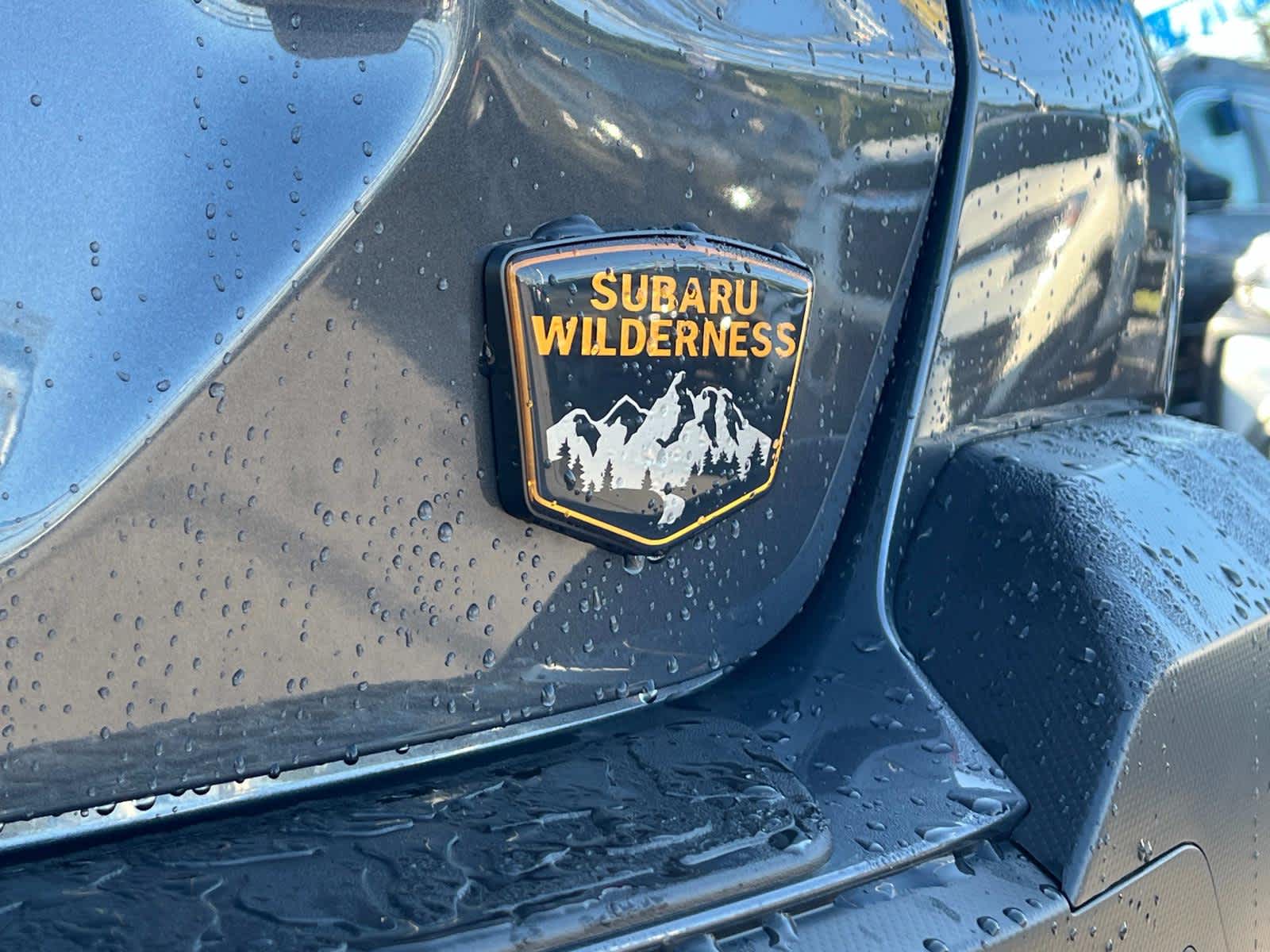 2024 Subaru Crosstrek Wilderness 7