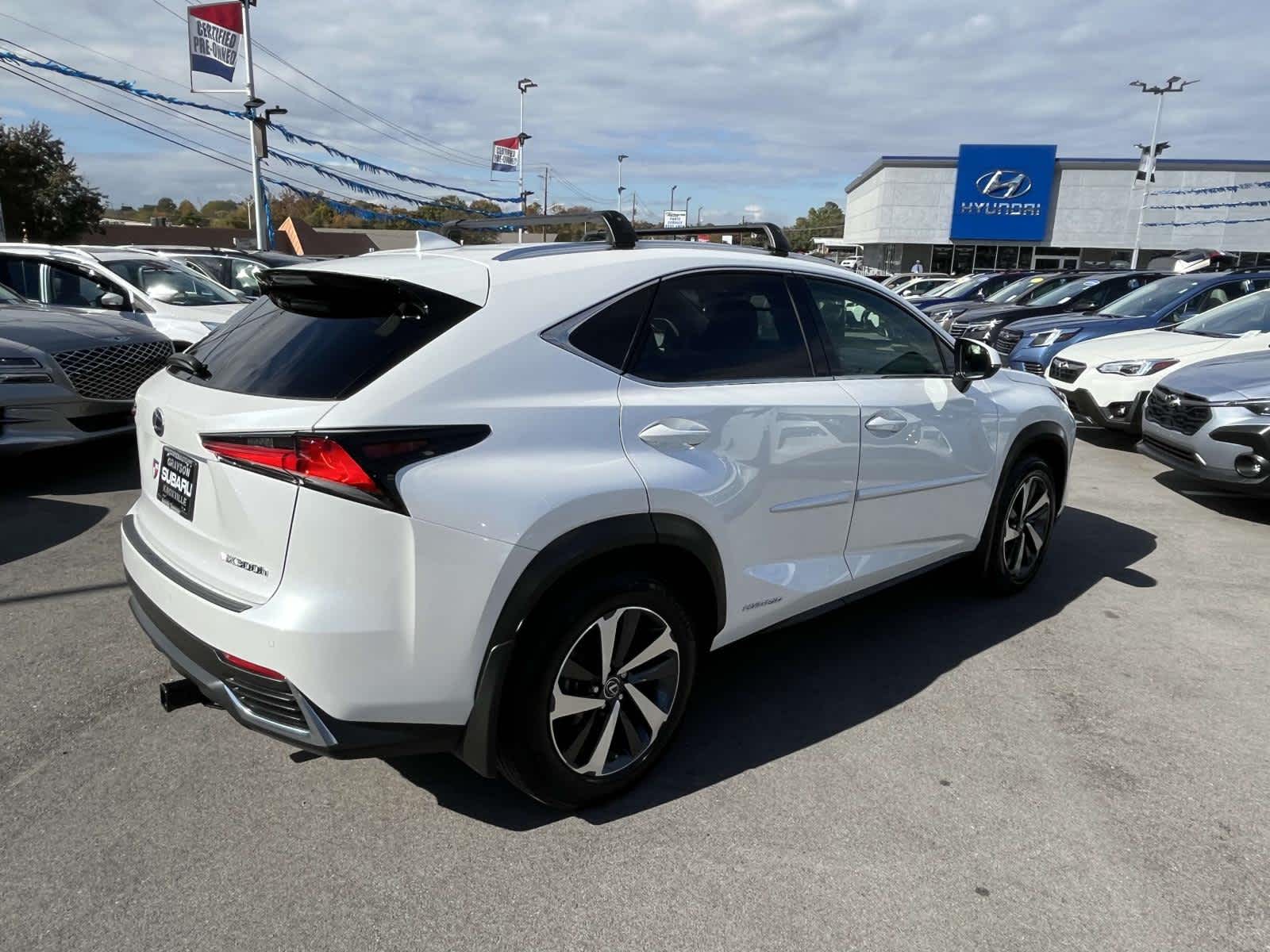 2020 Lexus NX  8