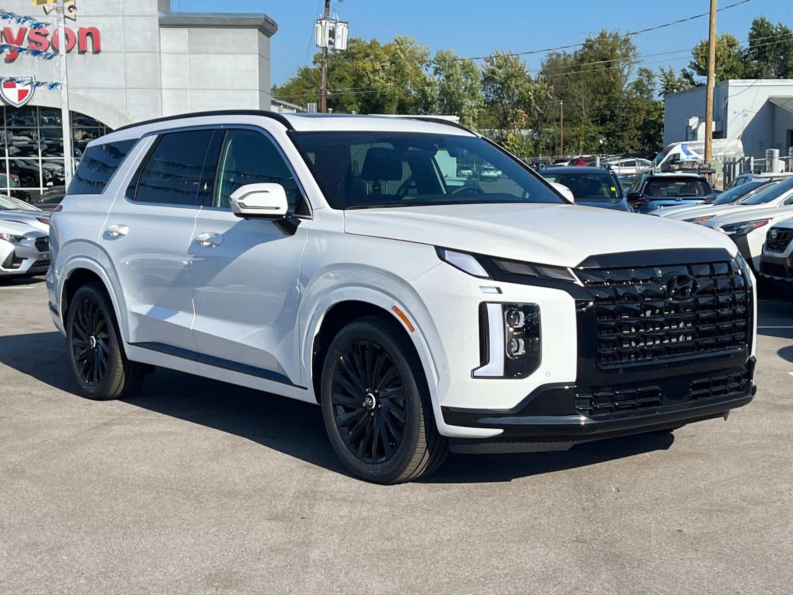 2025 Hyundai Palisade Calligraphy Night Edition 2