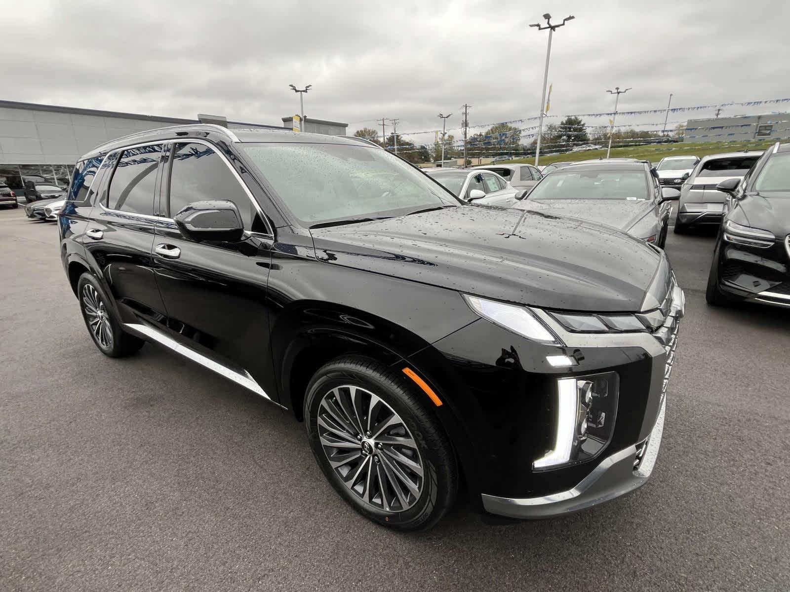 2025 Hyundai Palisade Calligraphy 2