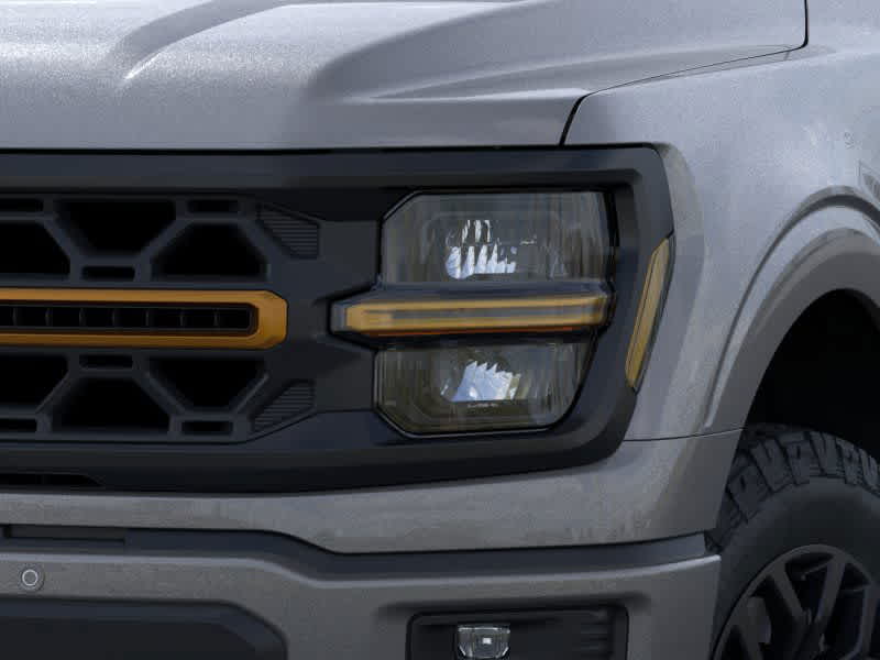 2024 Ford F-150 Tremor 18