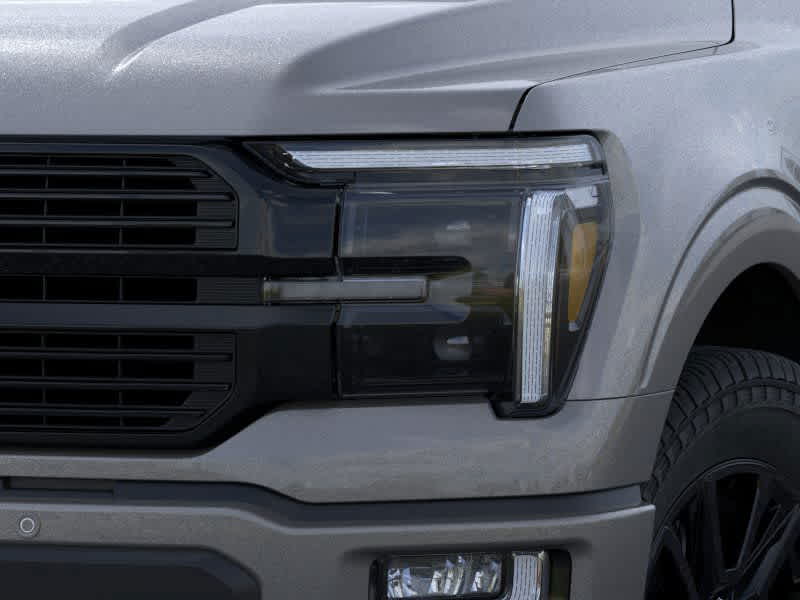 2024 Ford F-150 Platinum 18