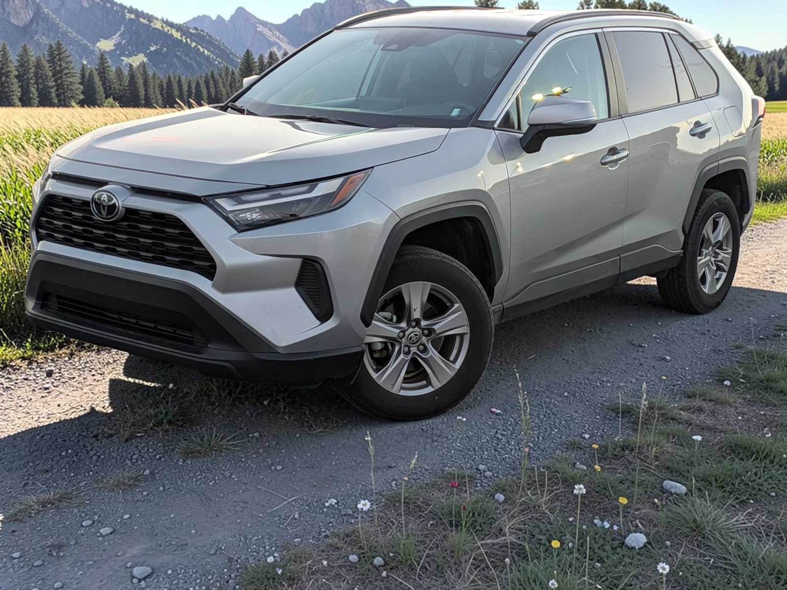 2025 Toyota RAV4