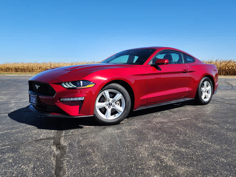 Used 2019 Ford Mustang EcoBoost with VIN 1FA6P8TH6K5161020 for sale in Gilman, IL