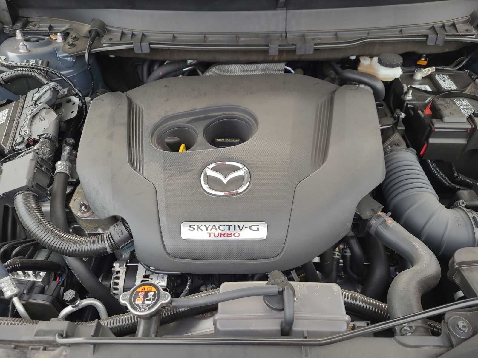 2023 Mazda CX-9 Carbon Edition 19