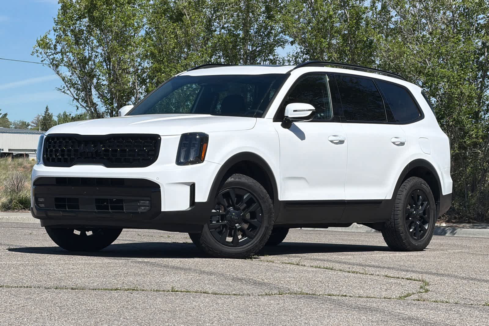 2025 Kia Telluride
