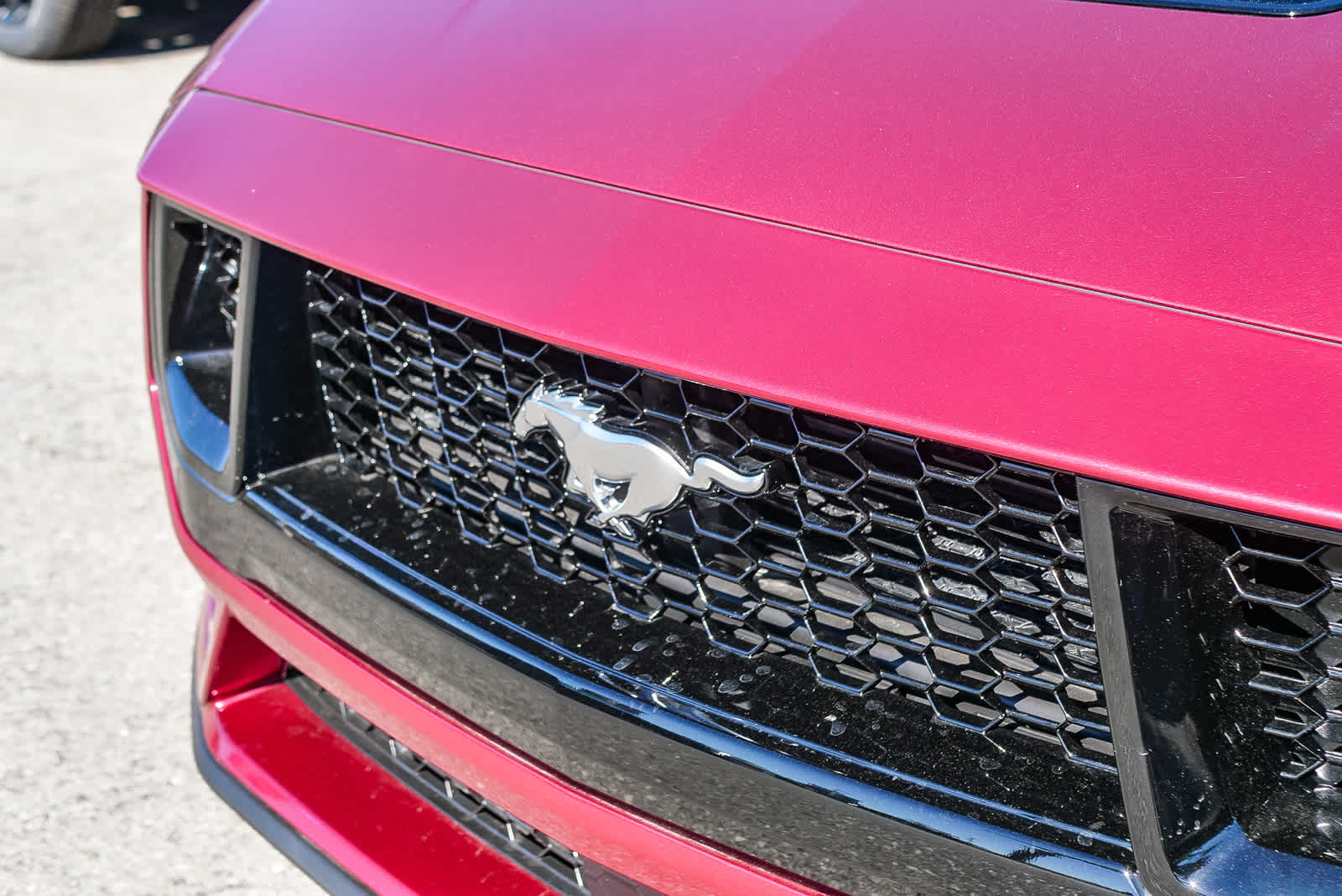 2025 Ford Mustang