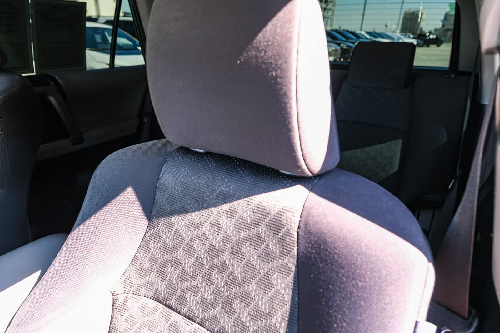 2010 Toyota 4Runner Trail - Photo 22