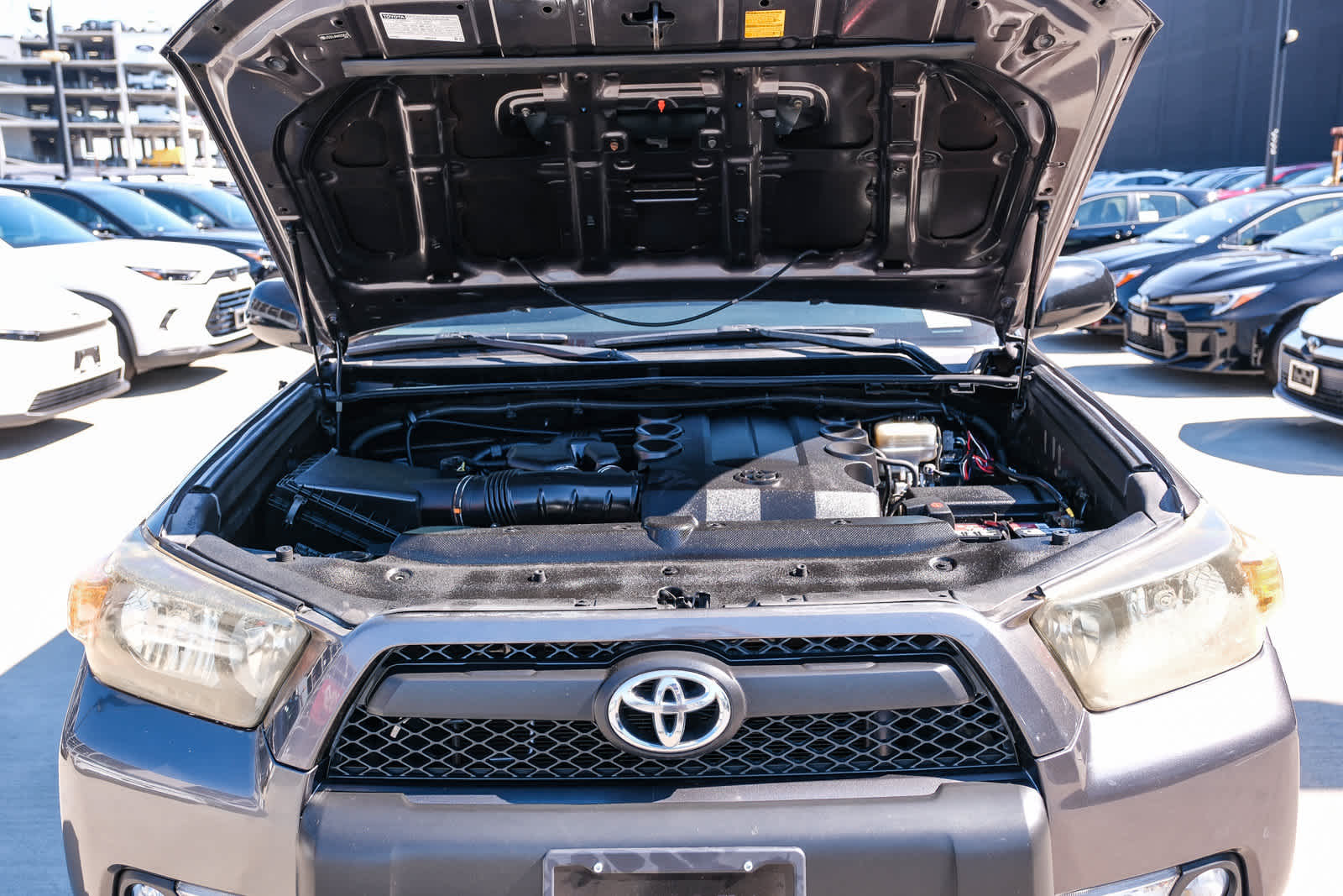 2010 Toyota 4Runner Trail - Photo 28